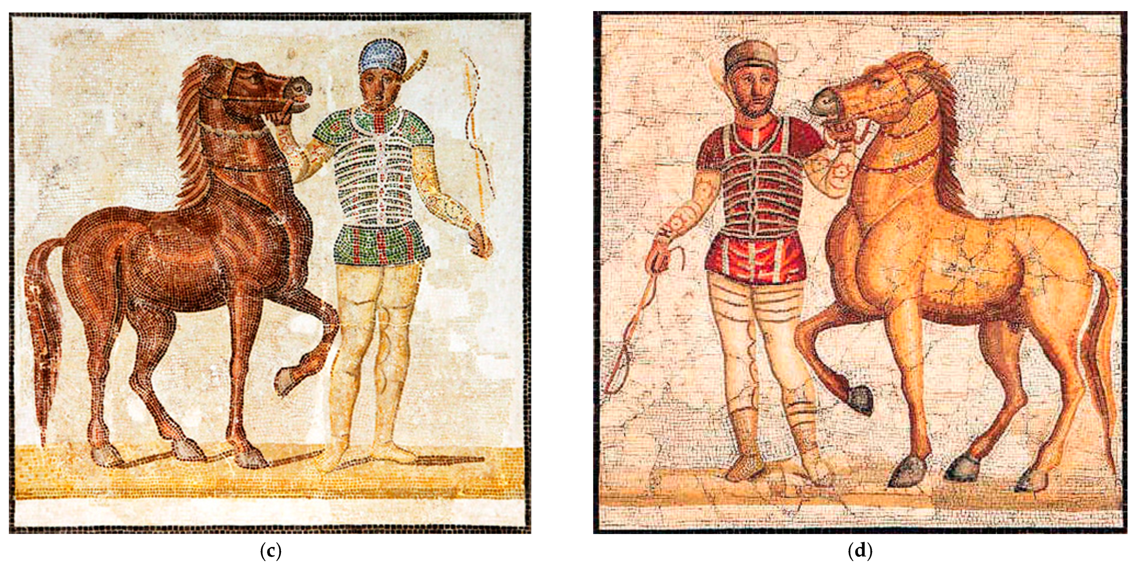 Applsci 14 08221 g001b