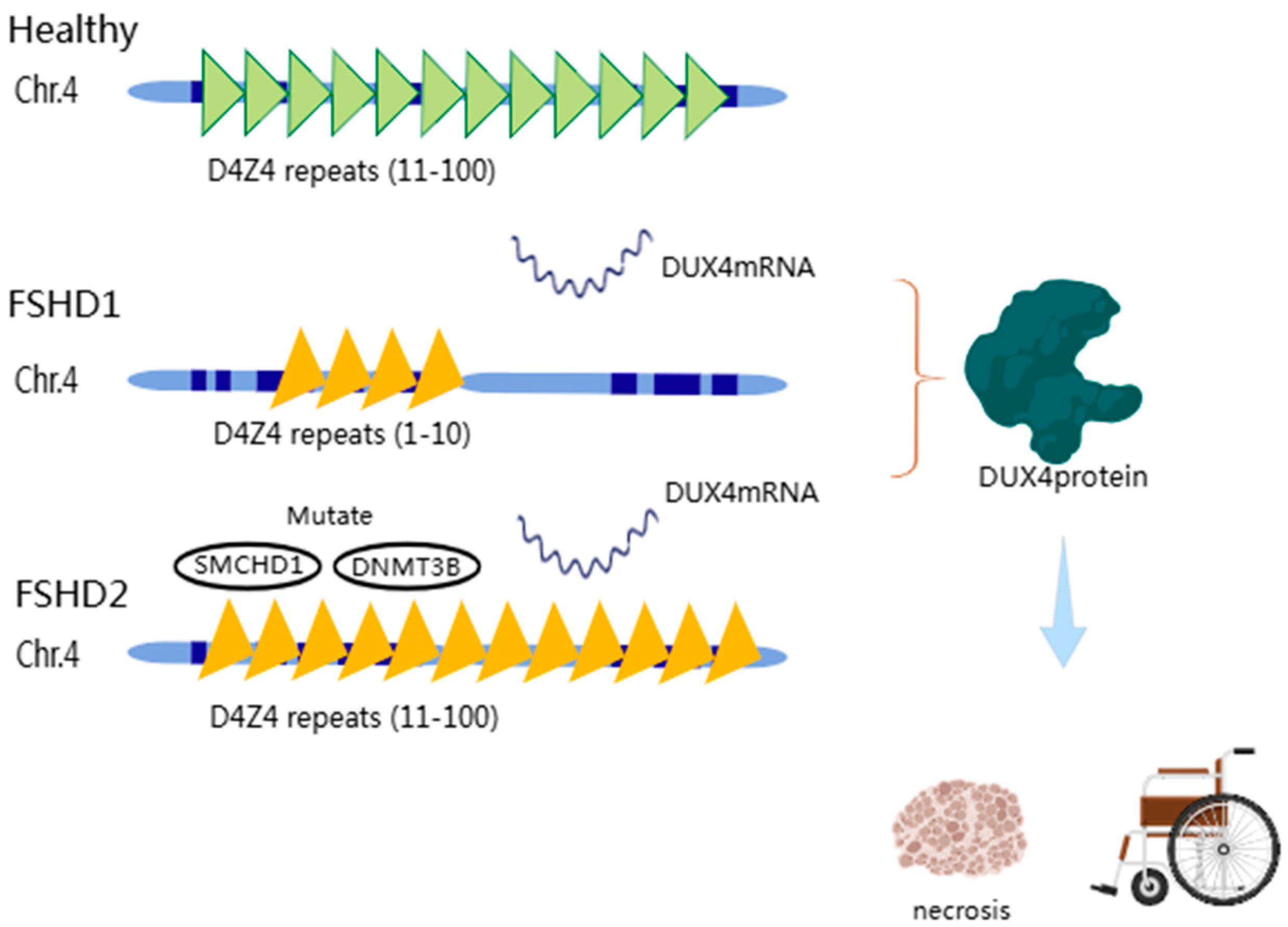 Applsci 14 08222 g001
