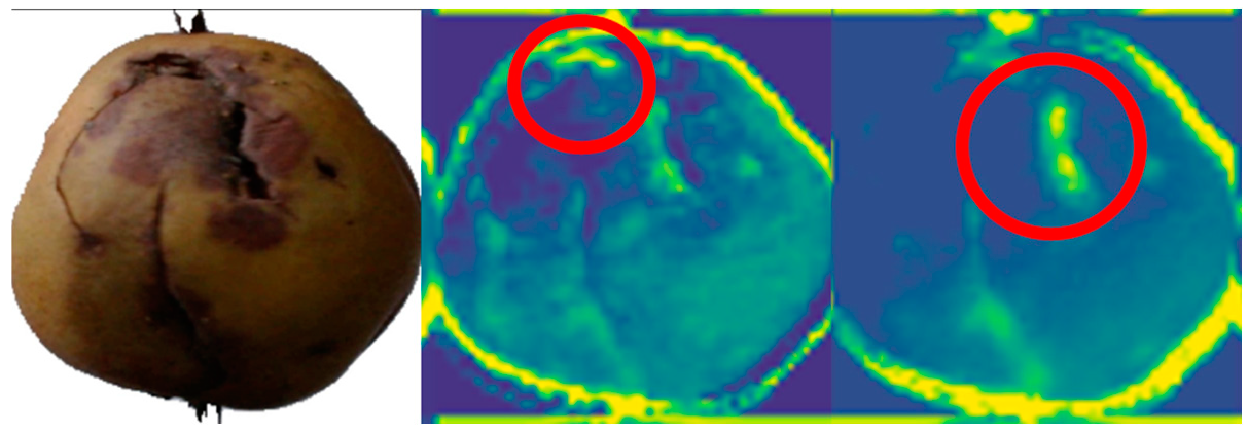 Applsci 14 08243 g006