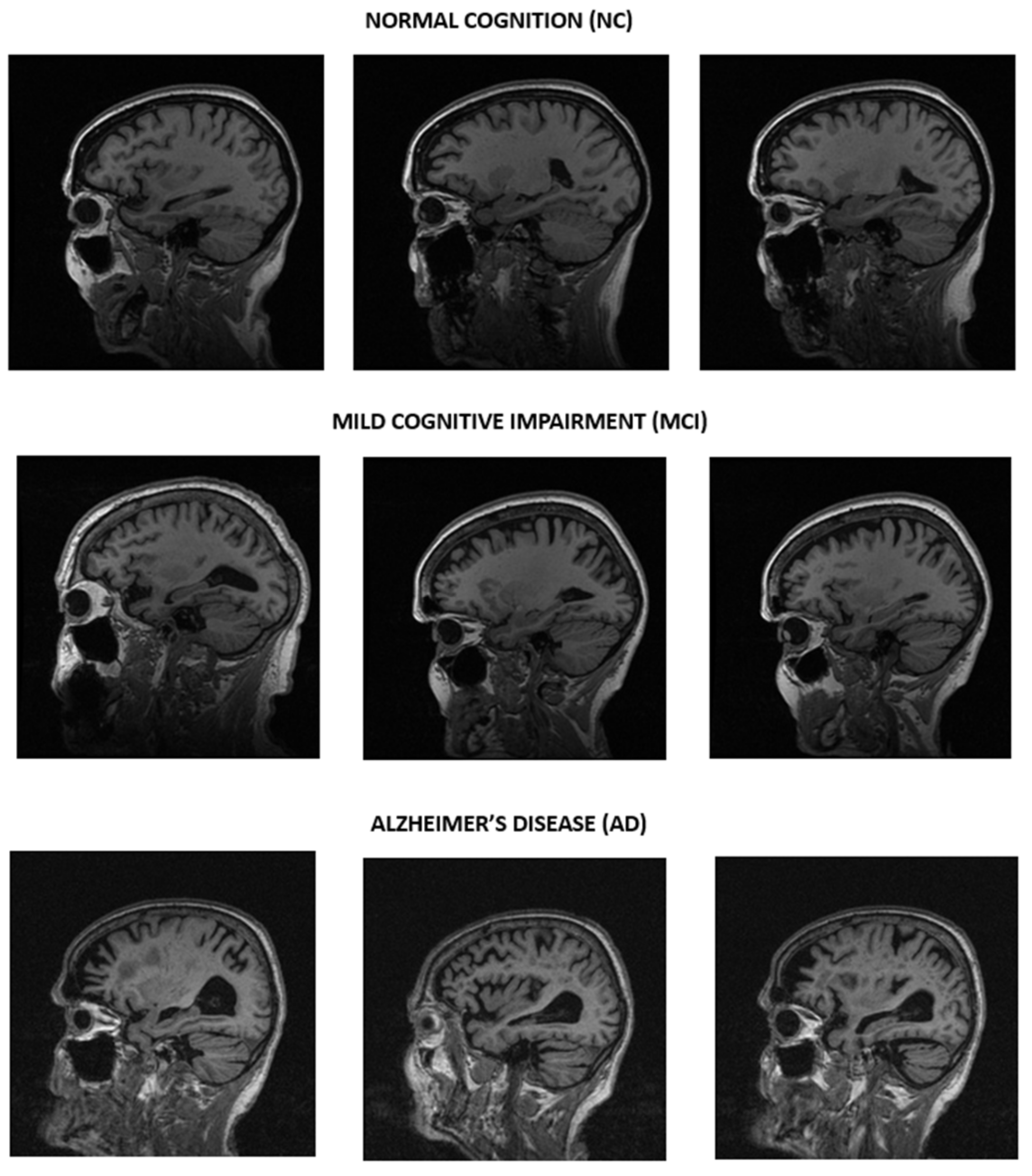 Applsci 14 08287 g002