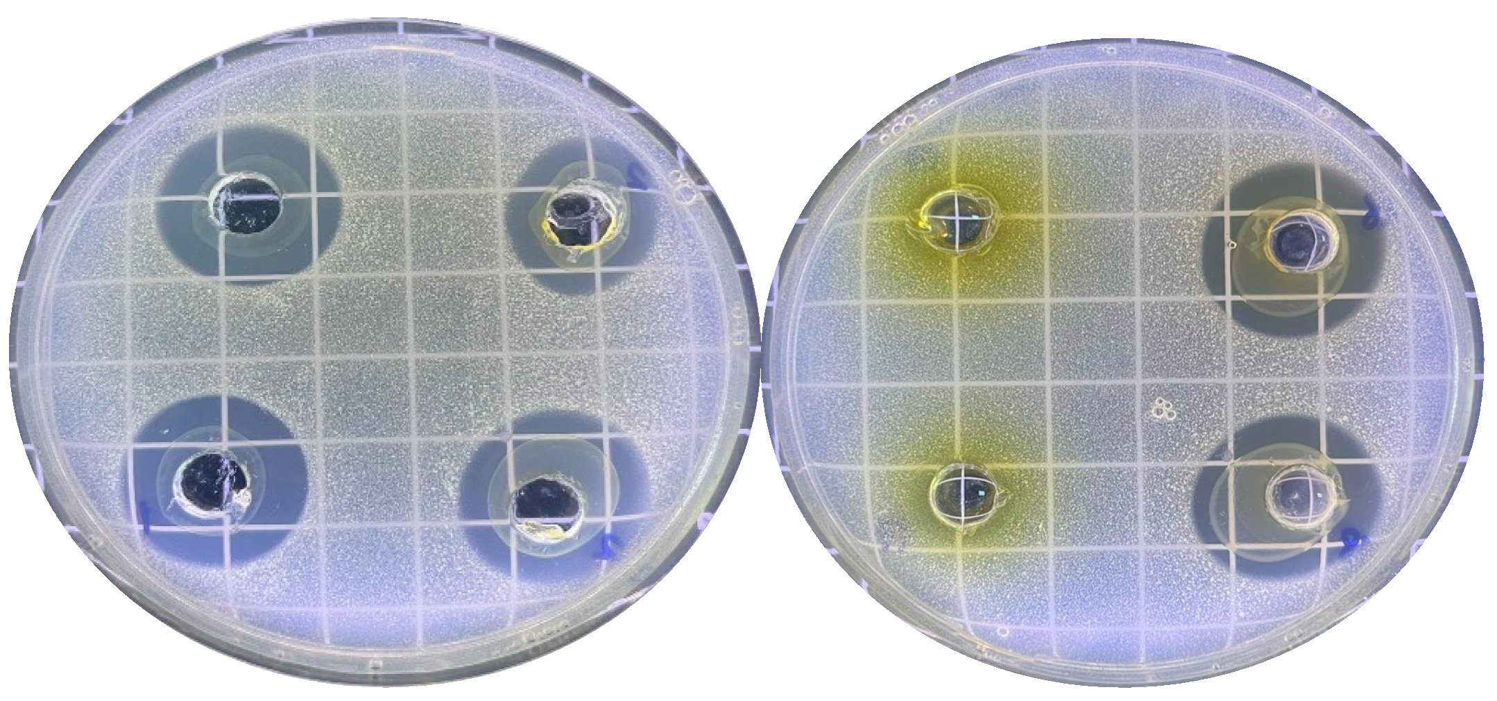 Applsci 14 08305 g002 Applsci 14 08305 g002