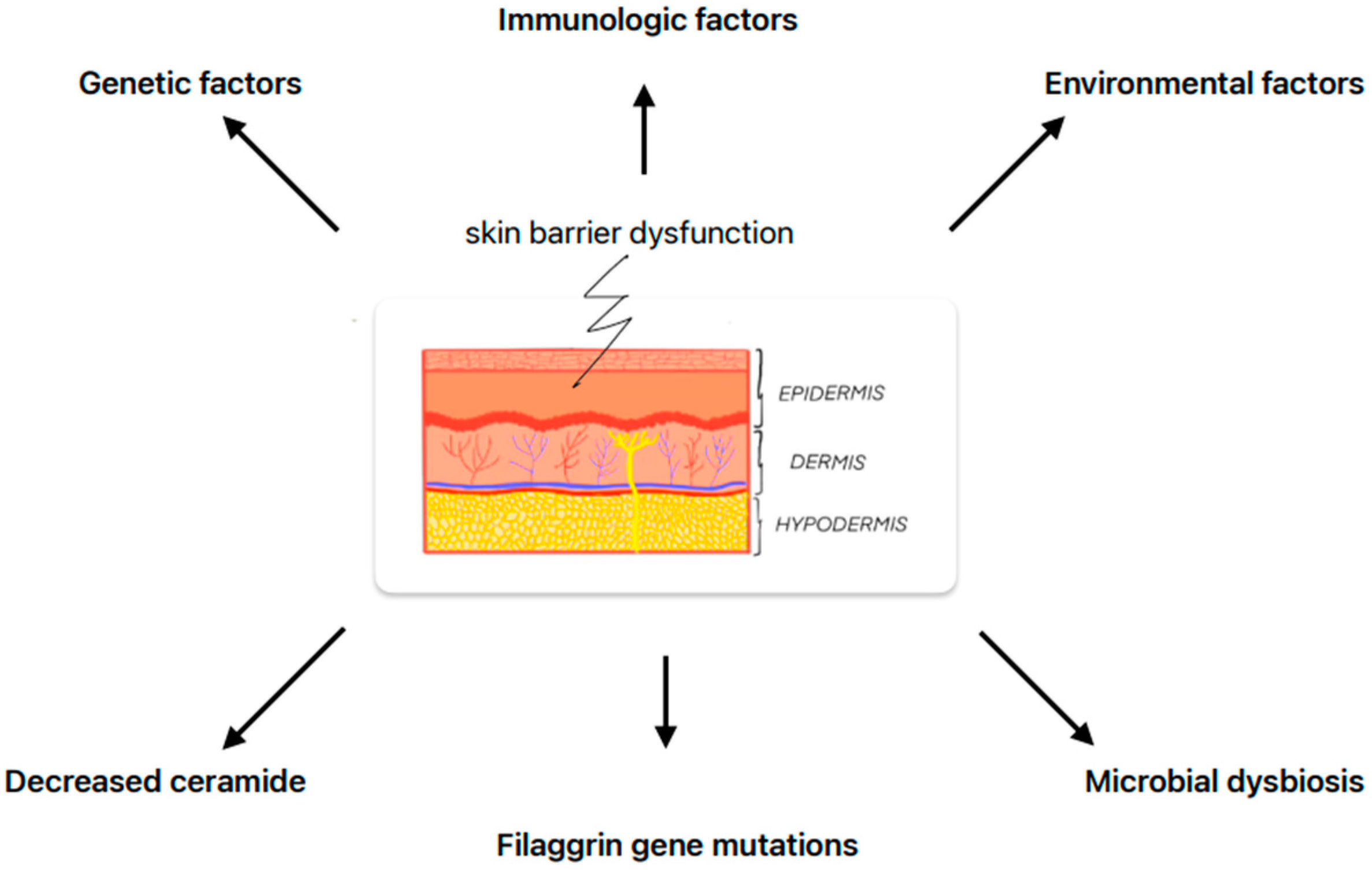 Applsci 14 08315 g001