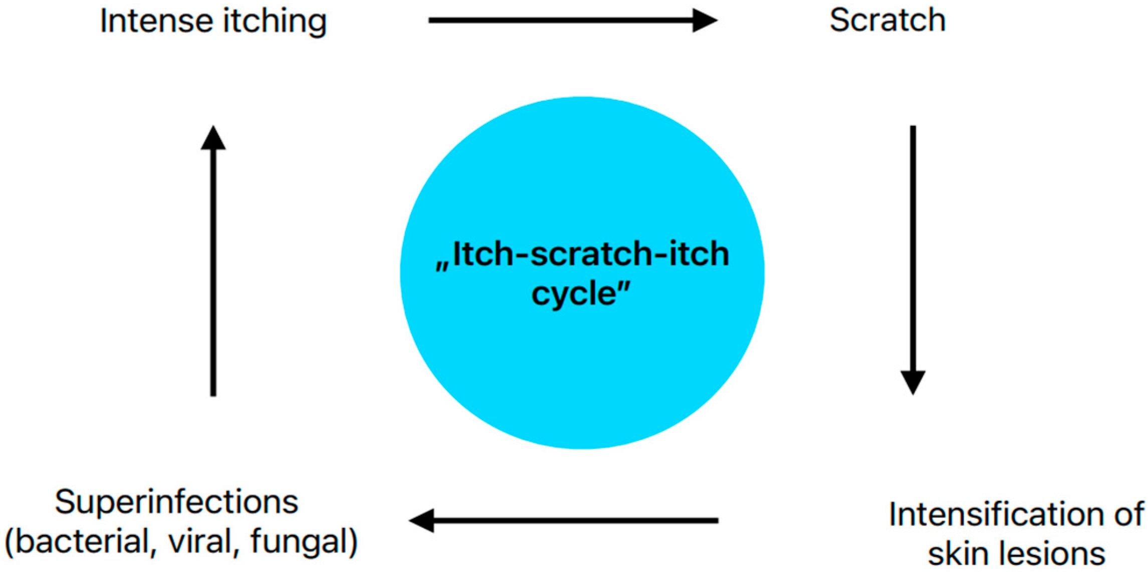 Applsci 14 08315 g002