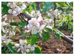 Applsci 14 08350 i001