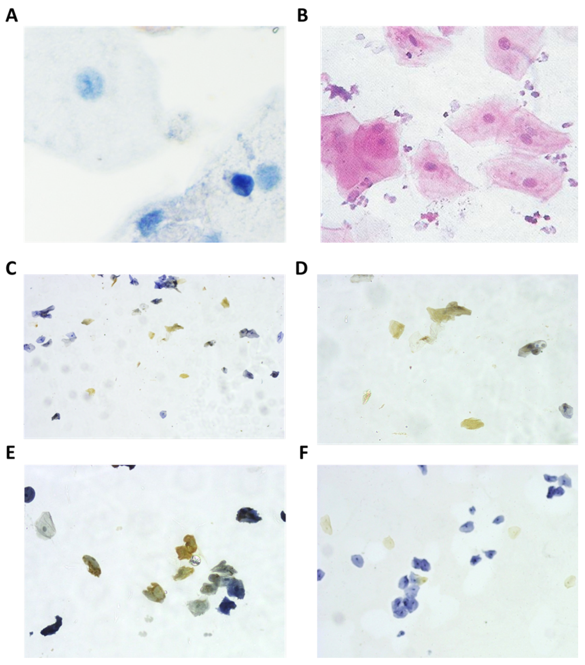 Applsci 14 08372 g001