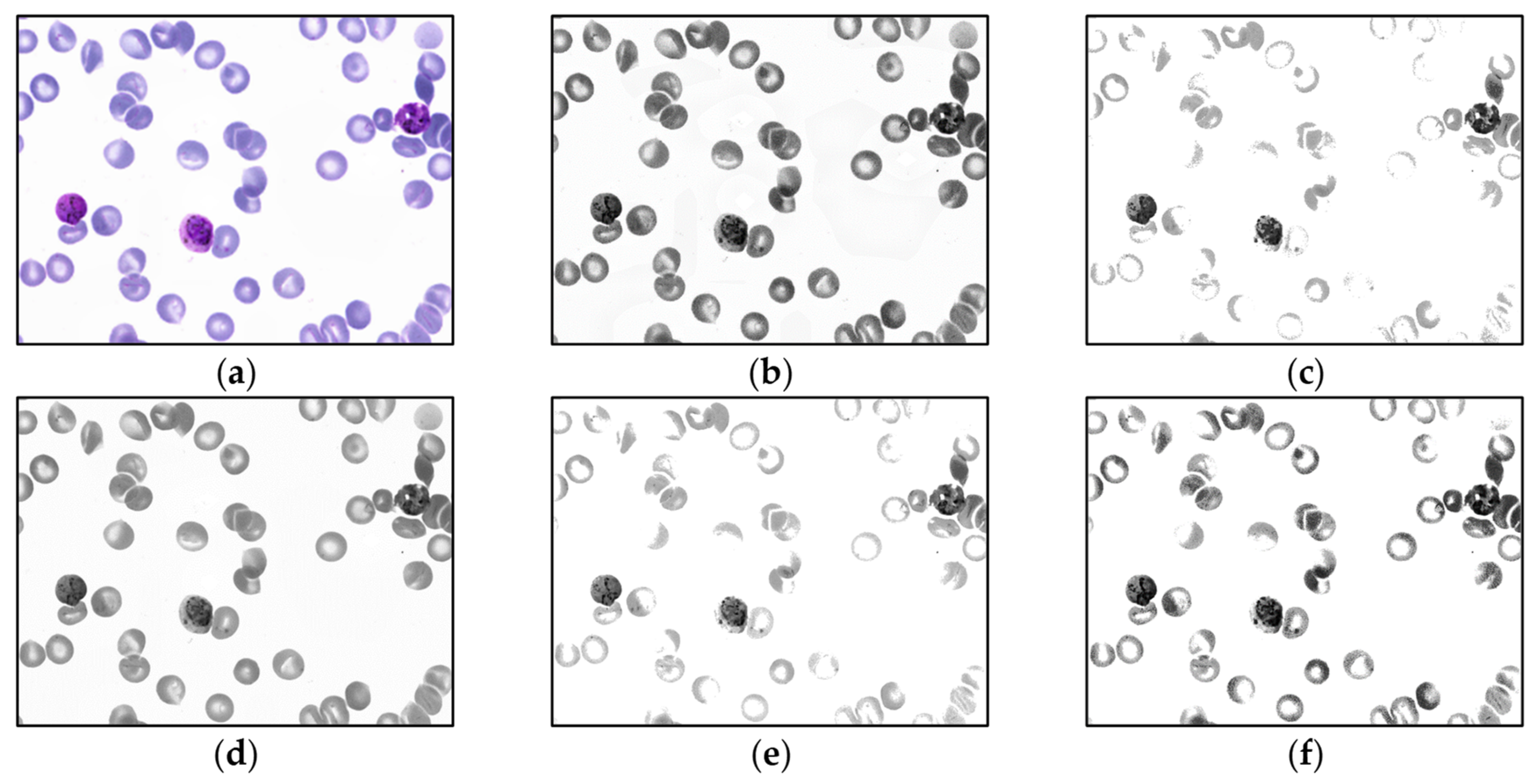 Applsci 14 08402 g004