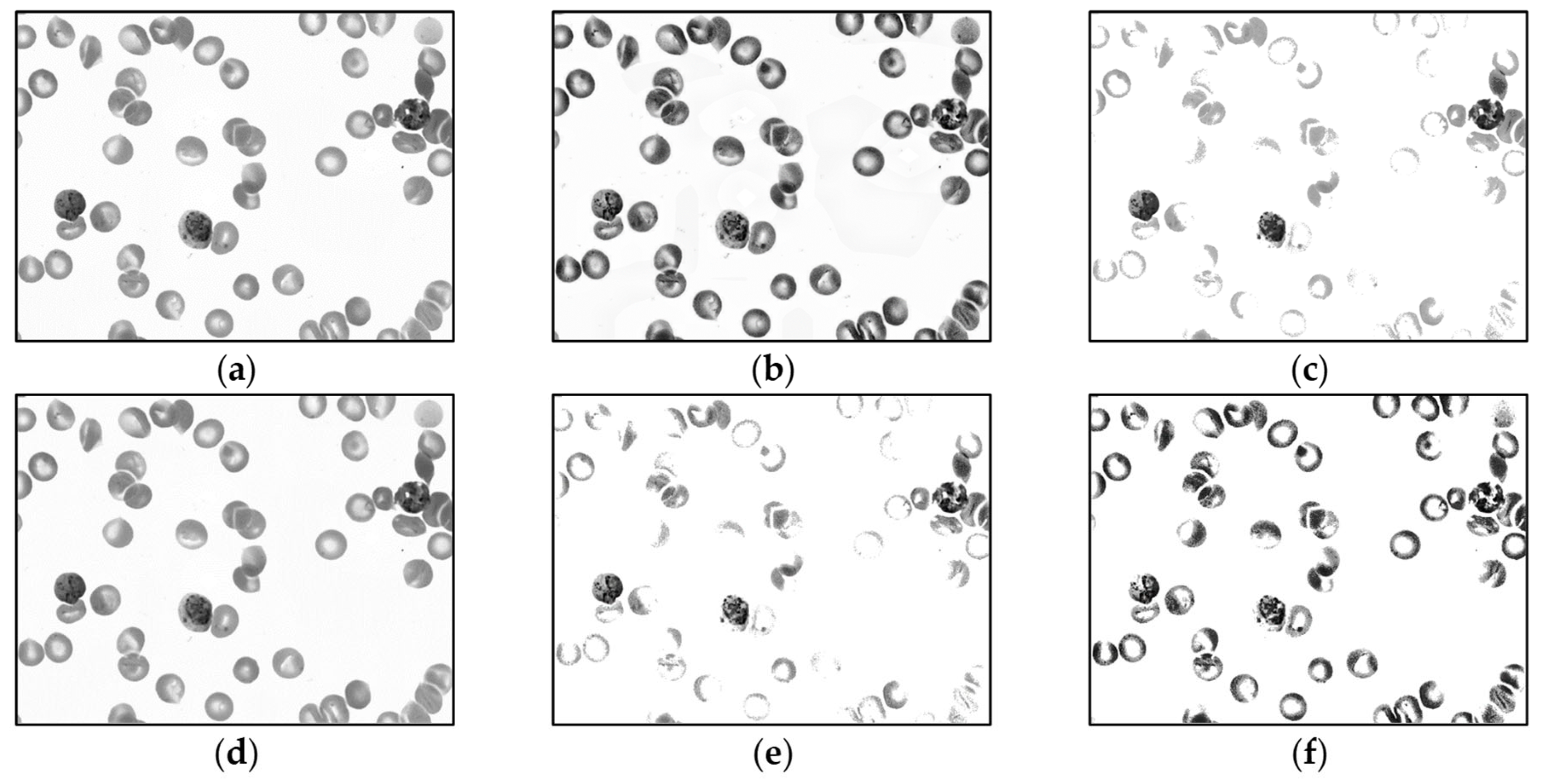 Applsci 14 08402 g005