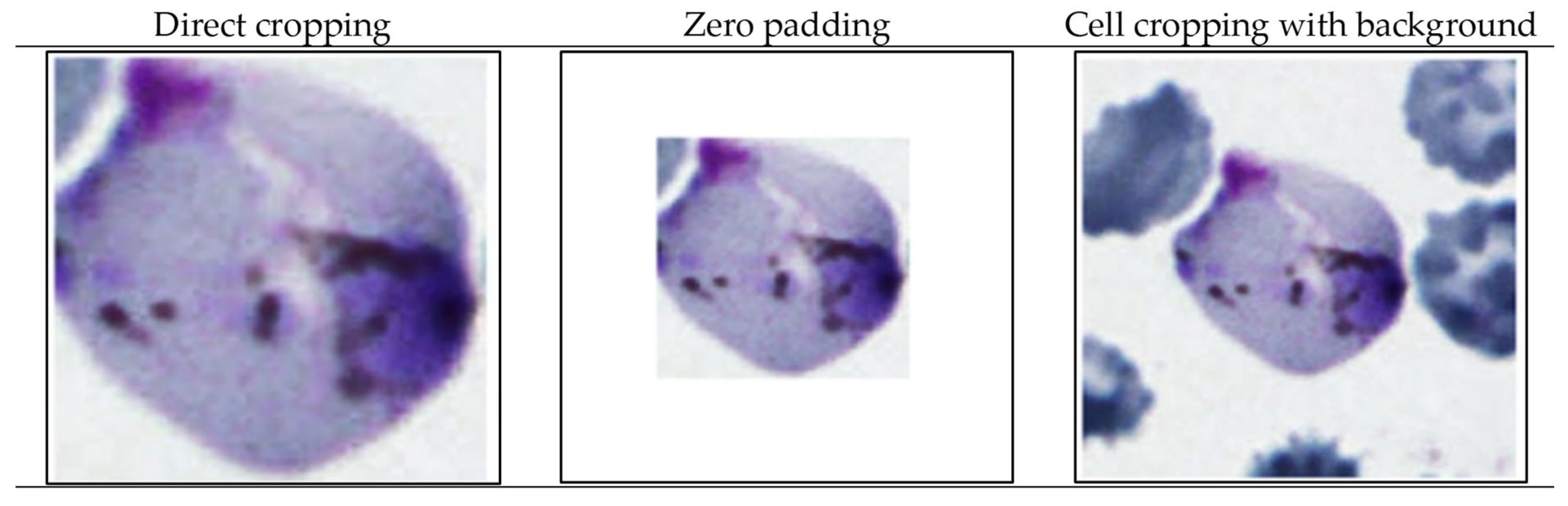 Applsci 14 08402 g006