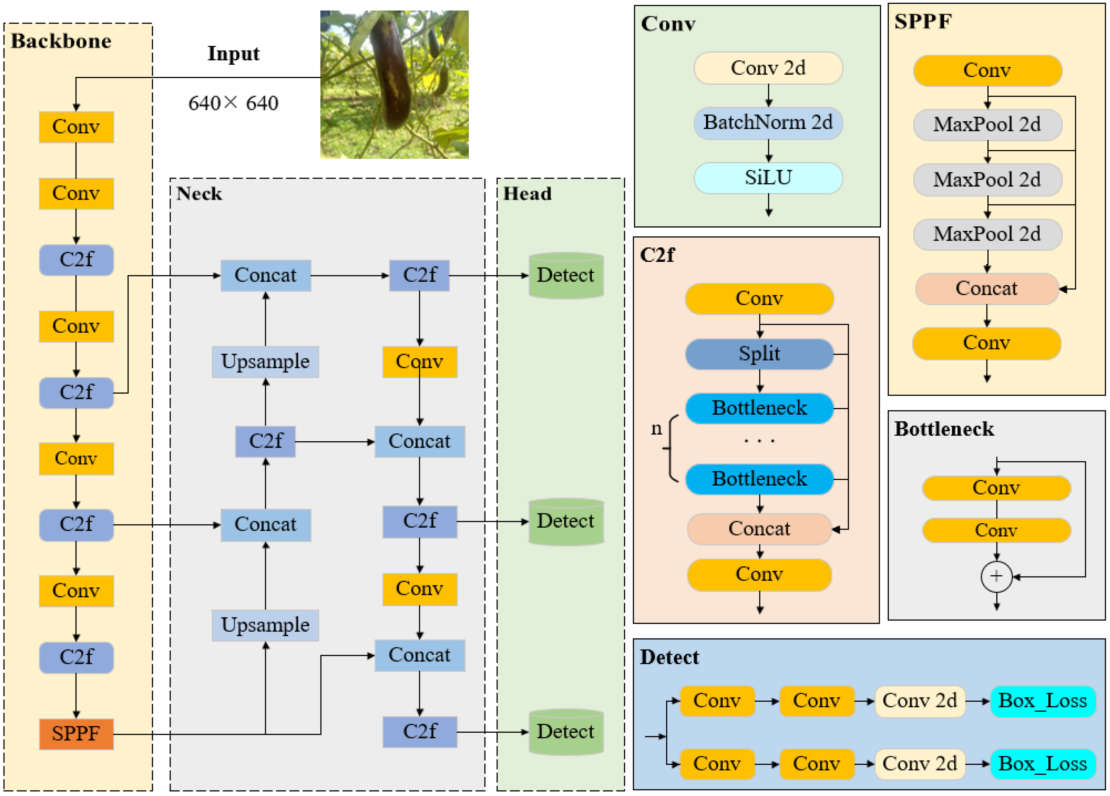 YOLOv8-E: An Improved YOLOv8 Algorithm for Eggplant Disease Detection