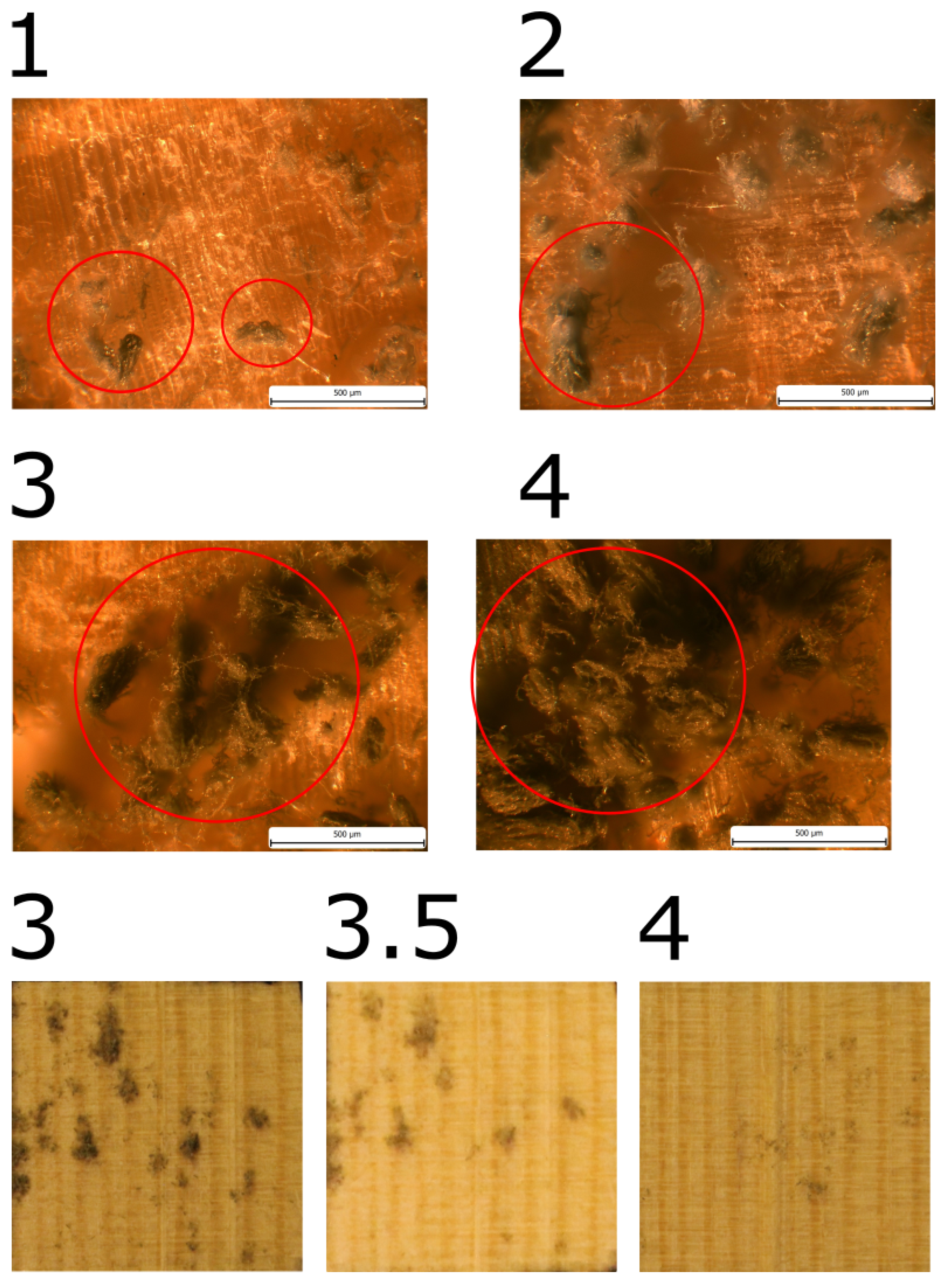 Applsci 14 08417 g007