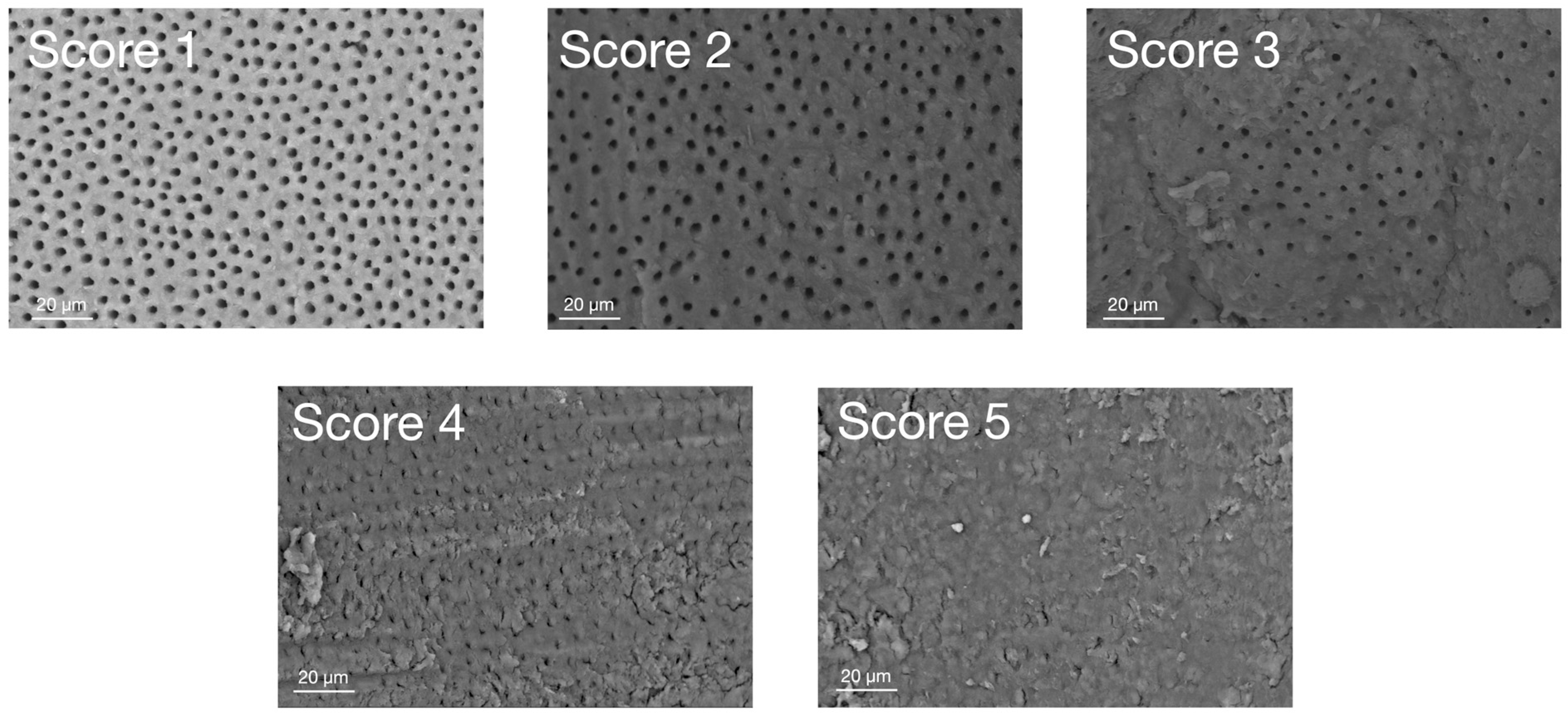 Applsci 14 08422 g001