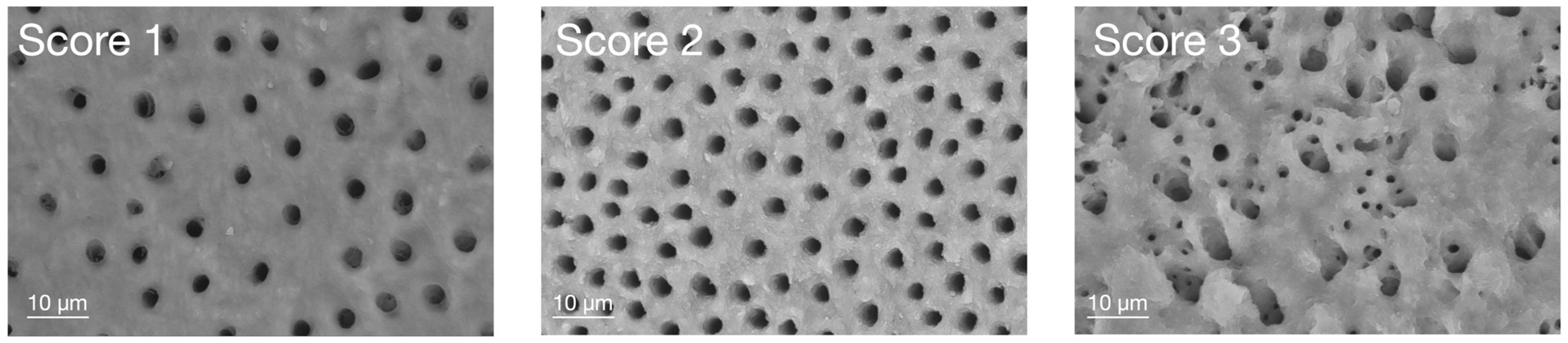 Applsci 14 08422 g002