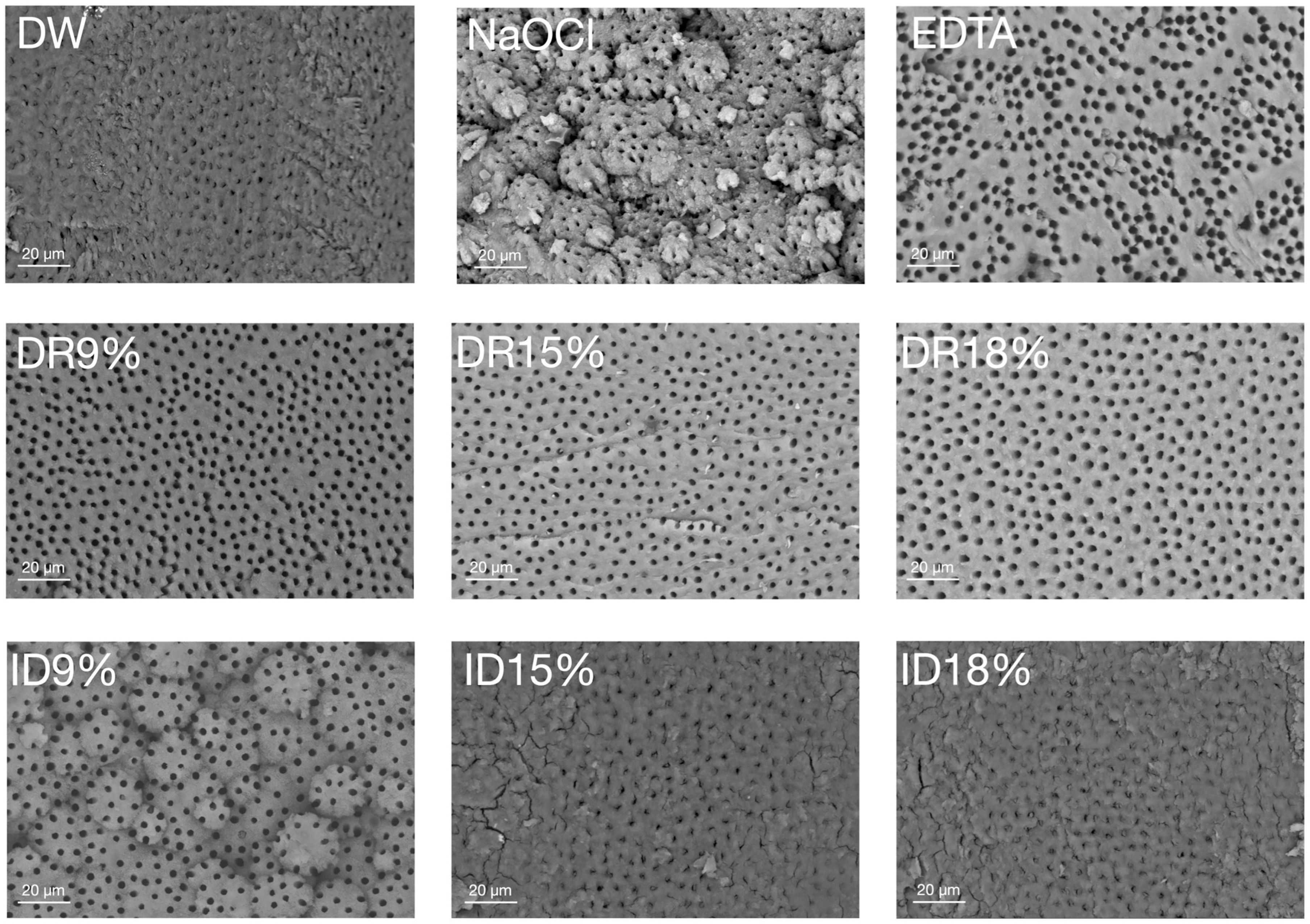 Applsci 14 08422 g005