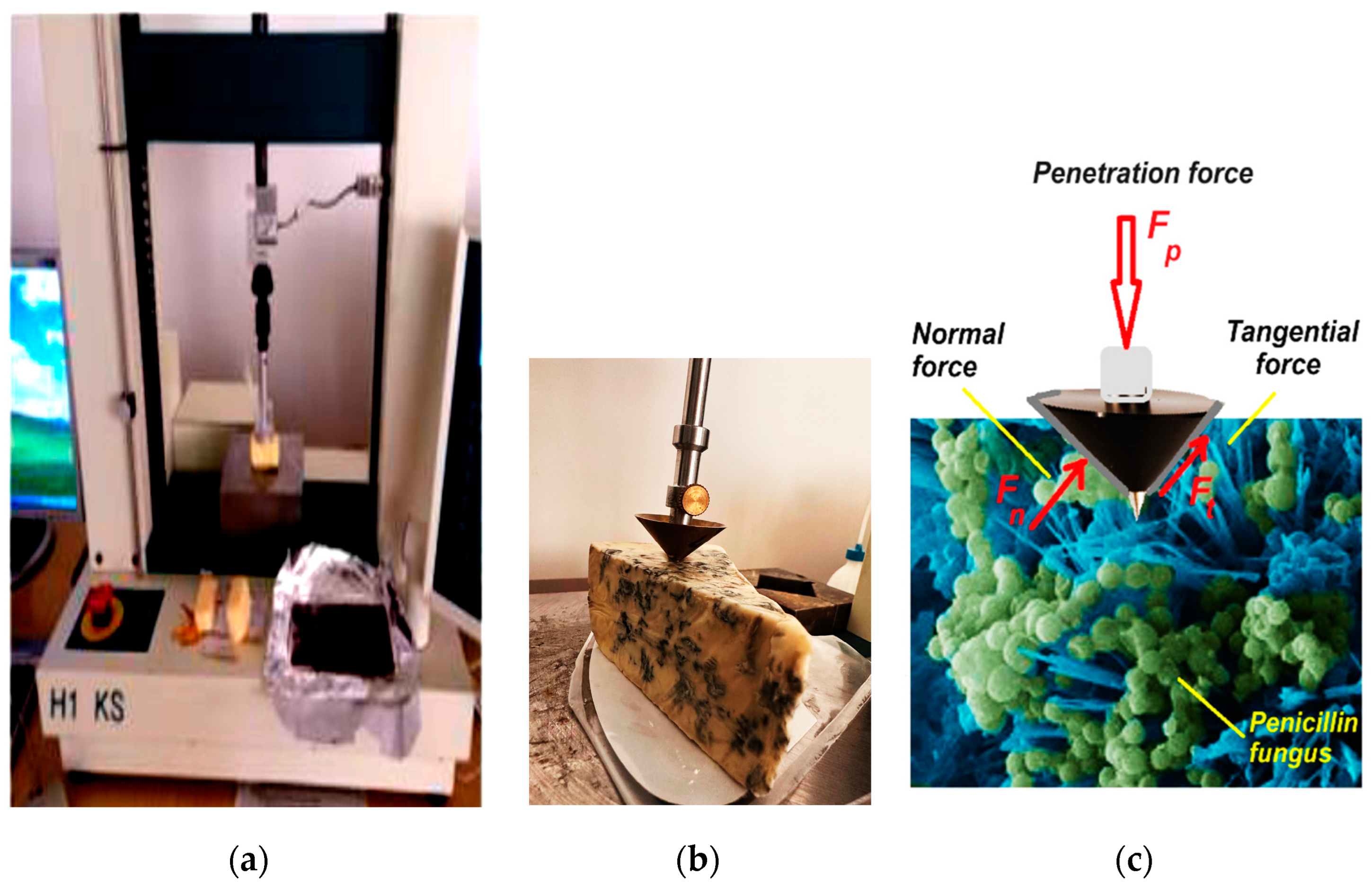 Applsci 14 08429 g001