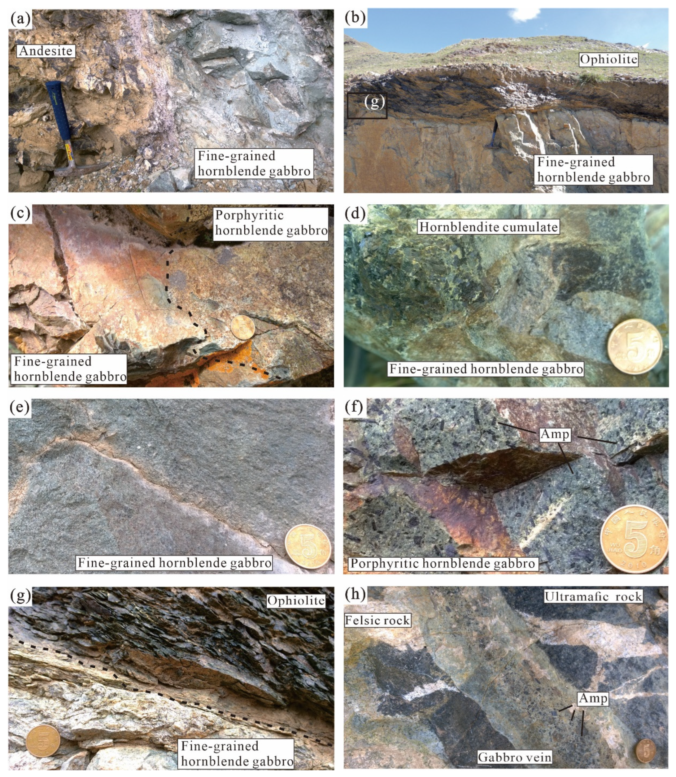 The Petrogenesis and Geological Implications of the Sanggeda