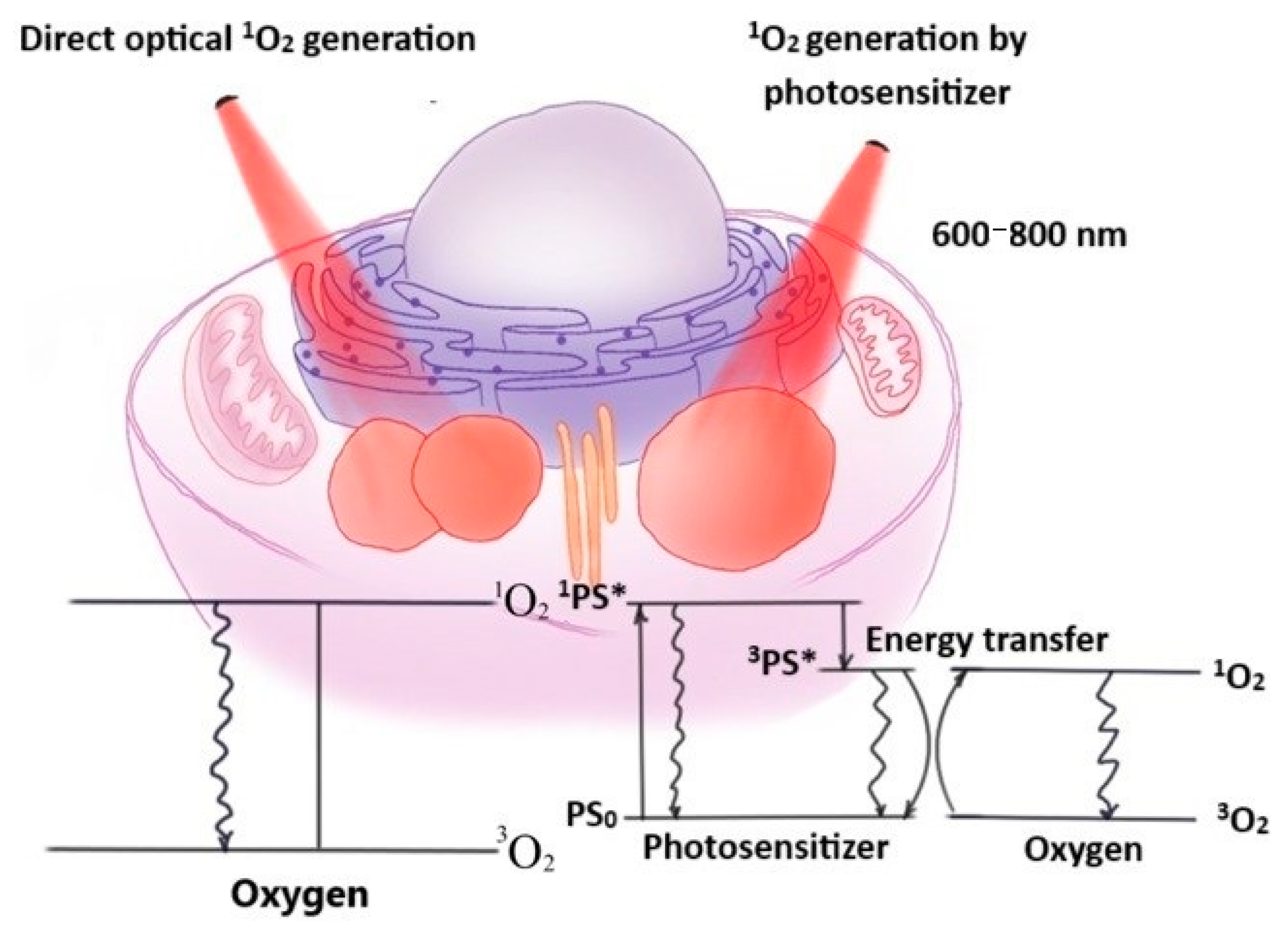 Applsci 14 08436 g001