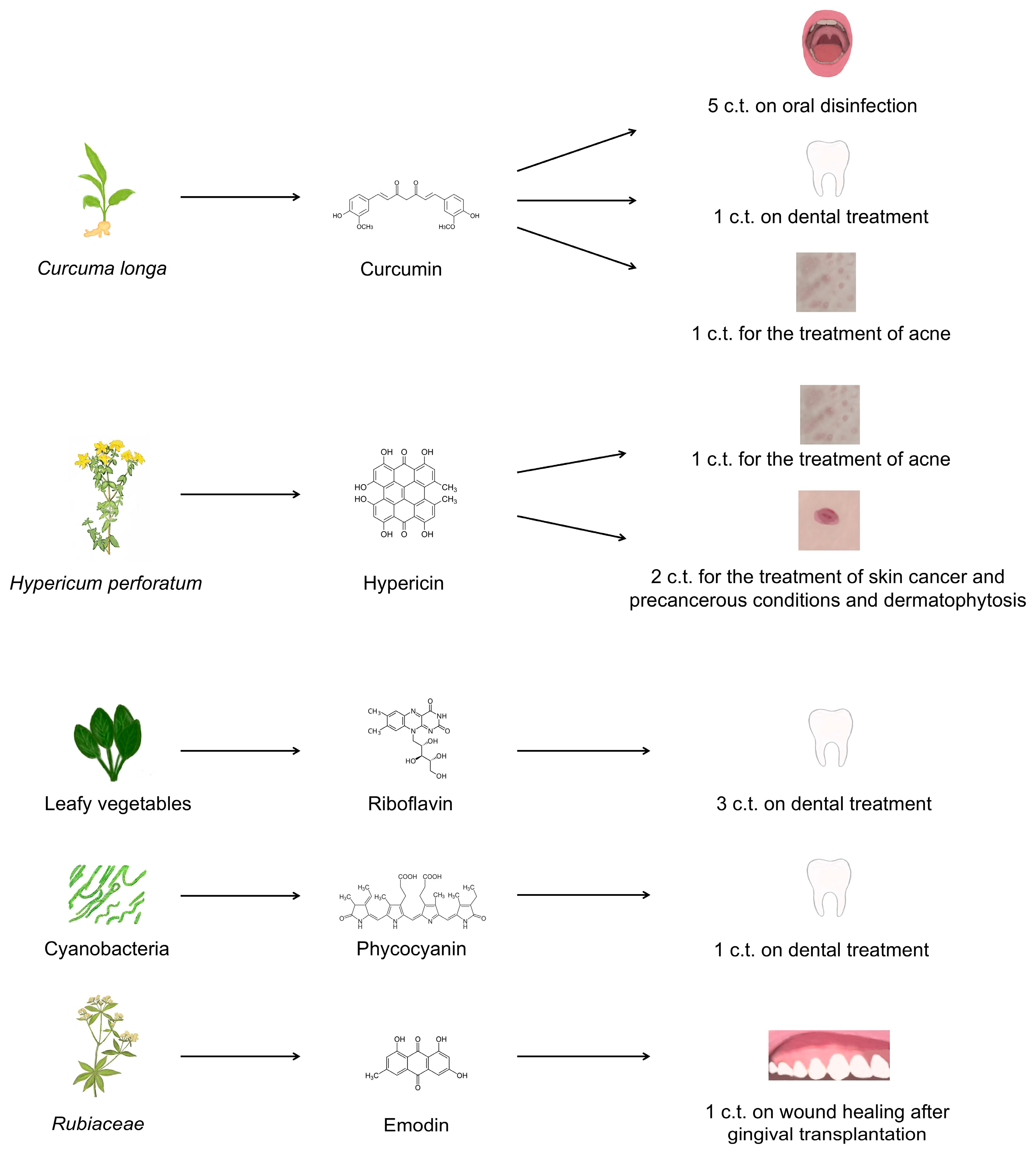 Applsci 14 08436 g003