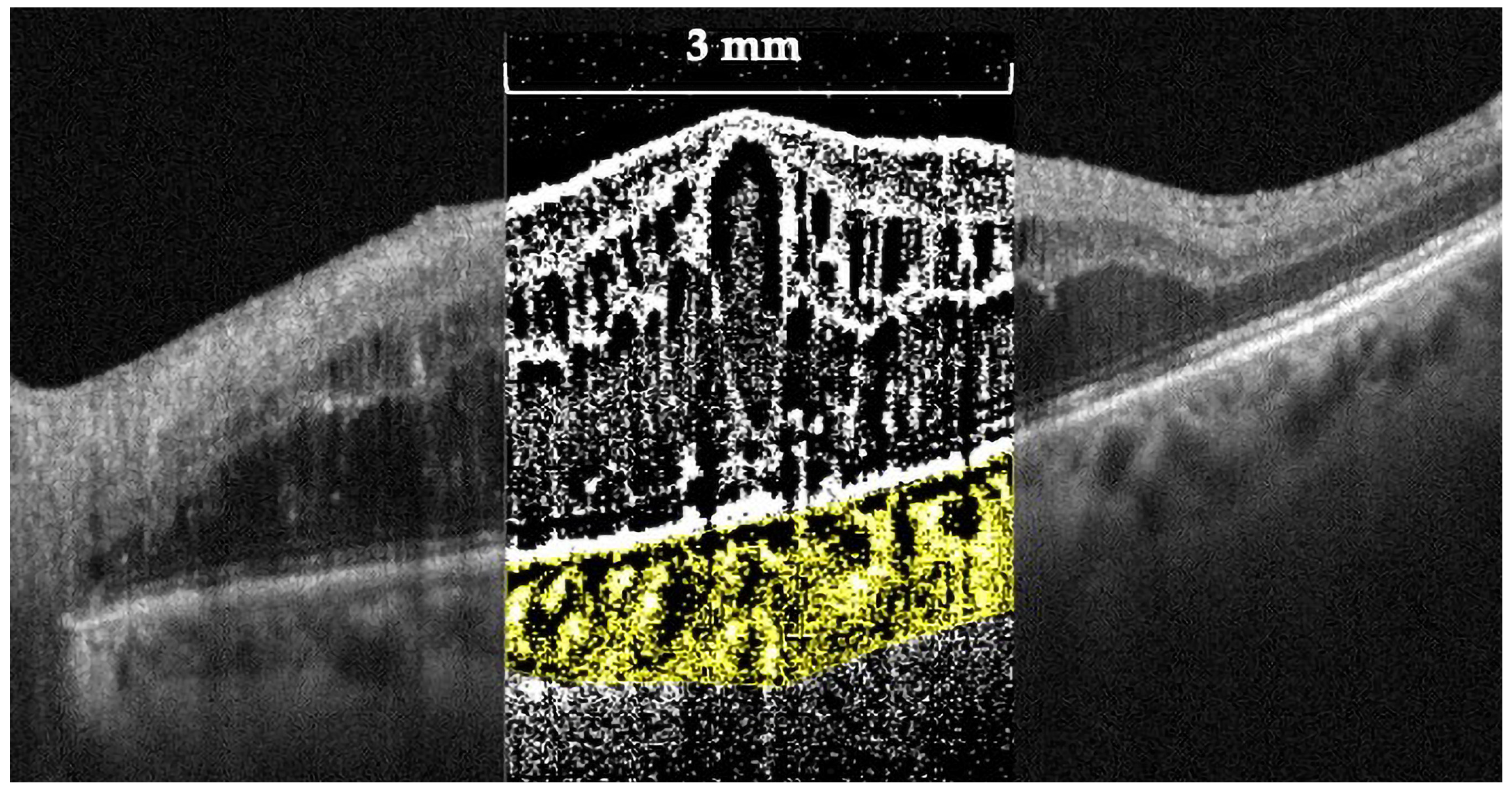 Applsci 14 08439 g002