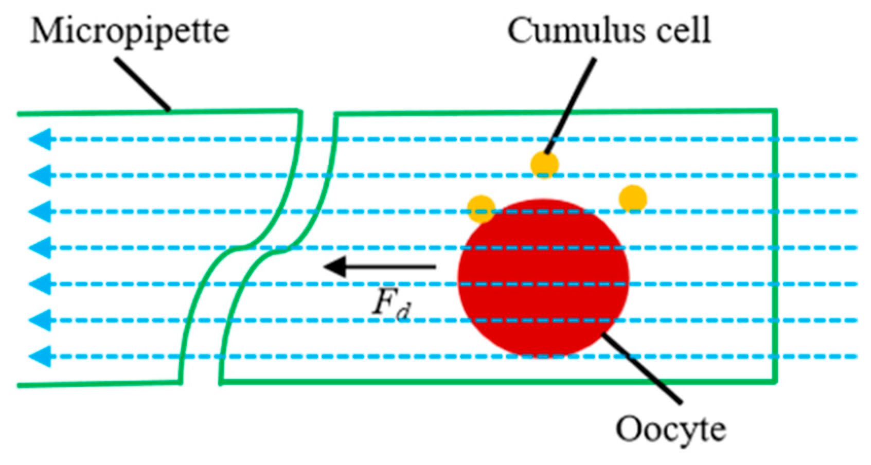 Applsci 14 08450 g004