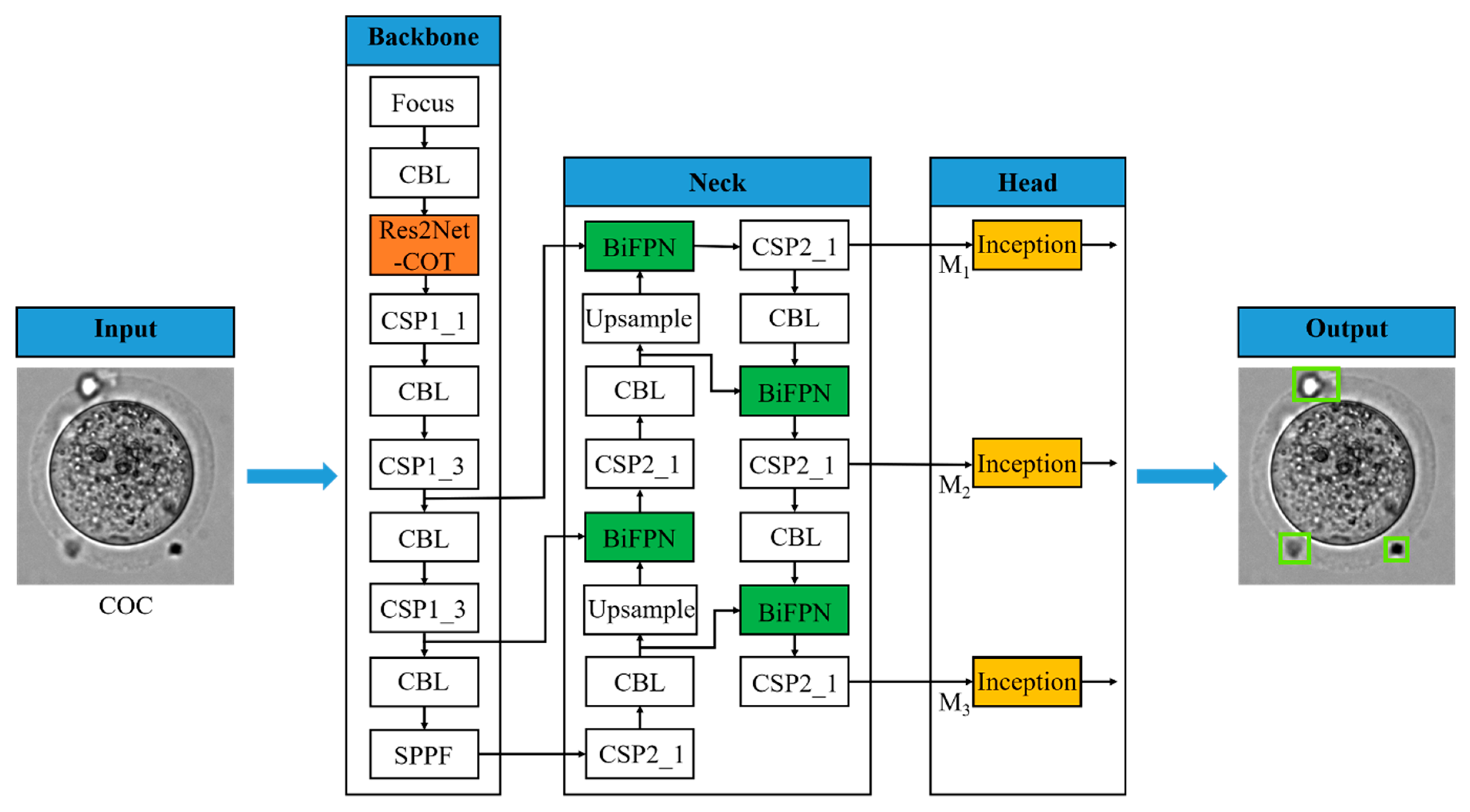 Applsci 14 08450 g006
