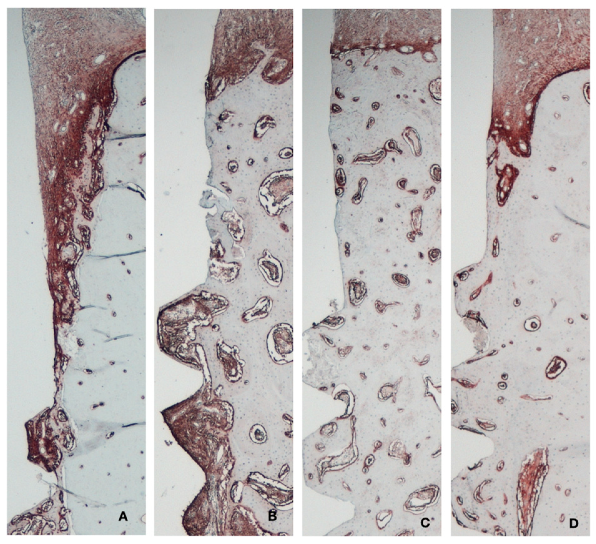 Applsci 14 08469 g009