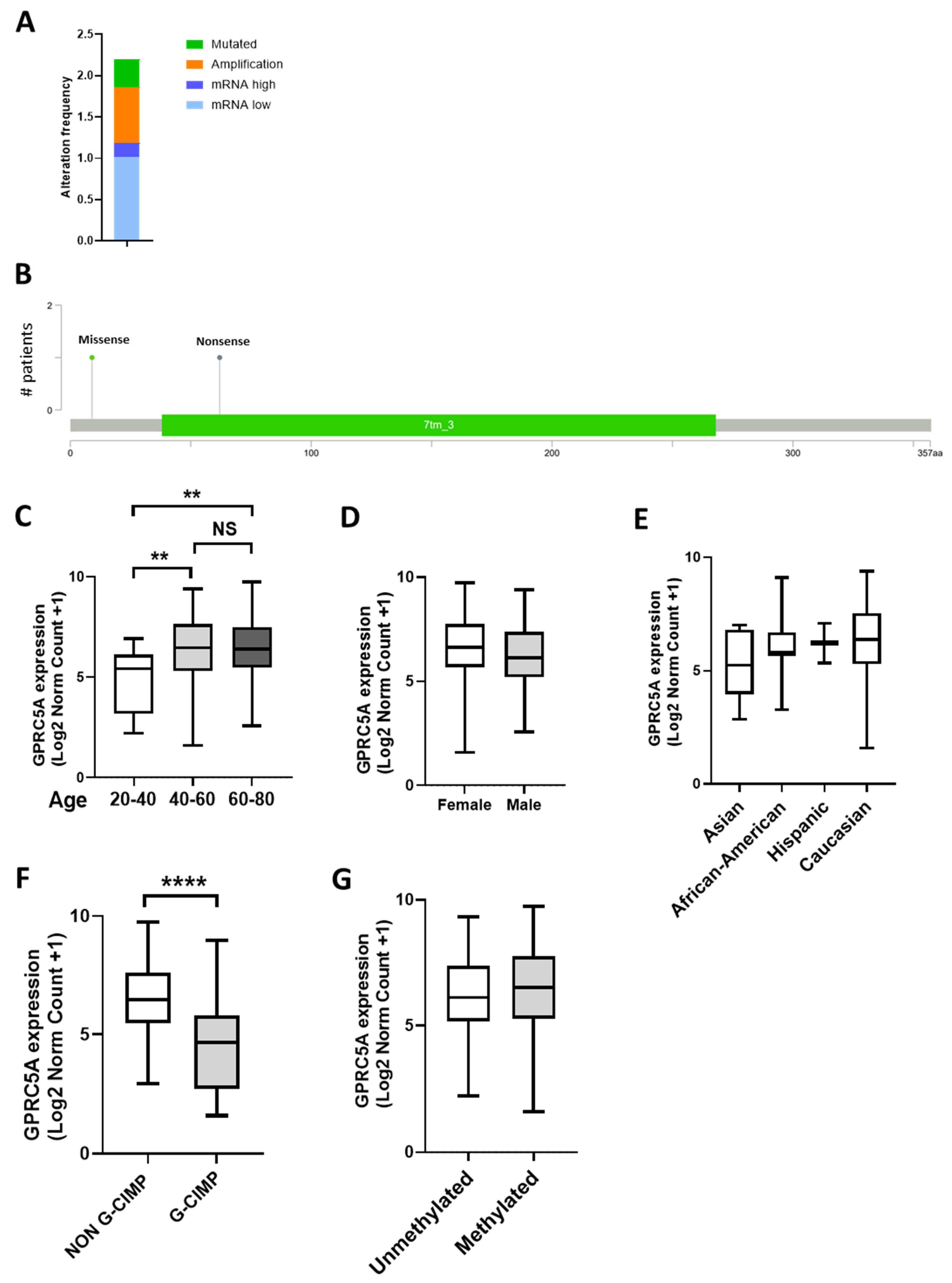 Applsci 14 08482 g002