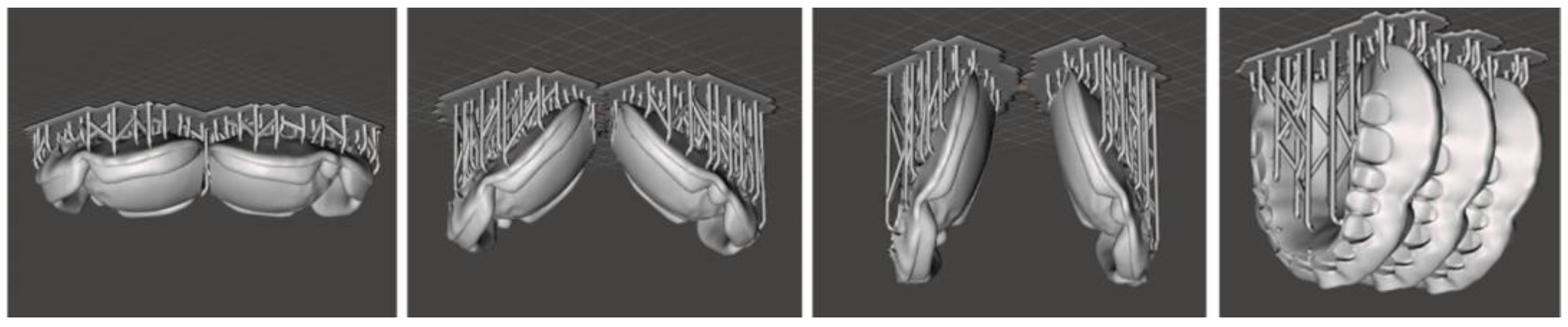 Applsci 14 08504 g002