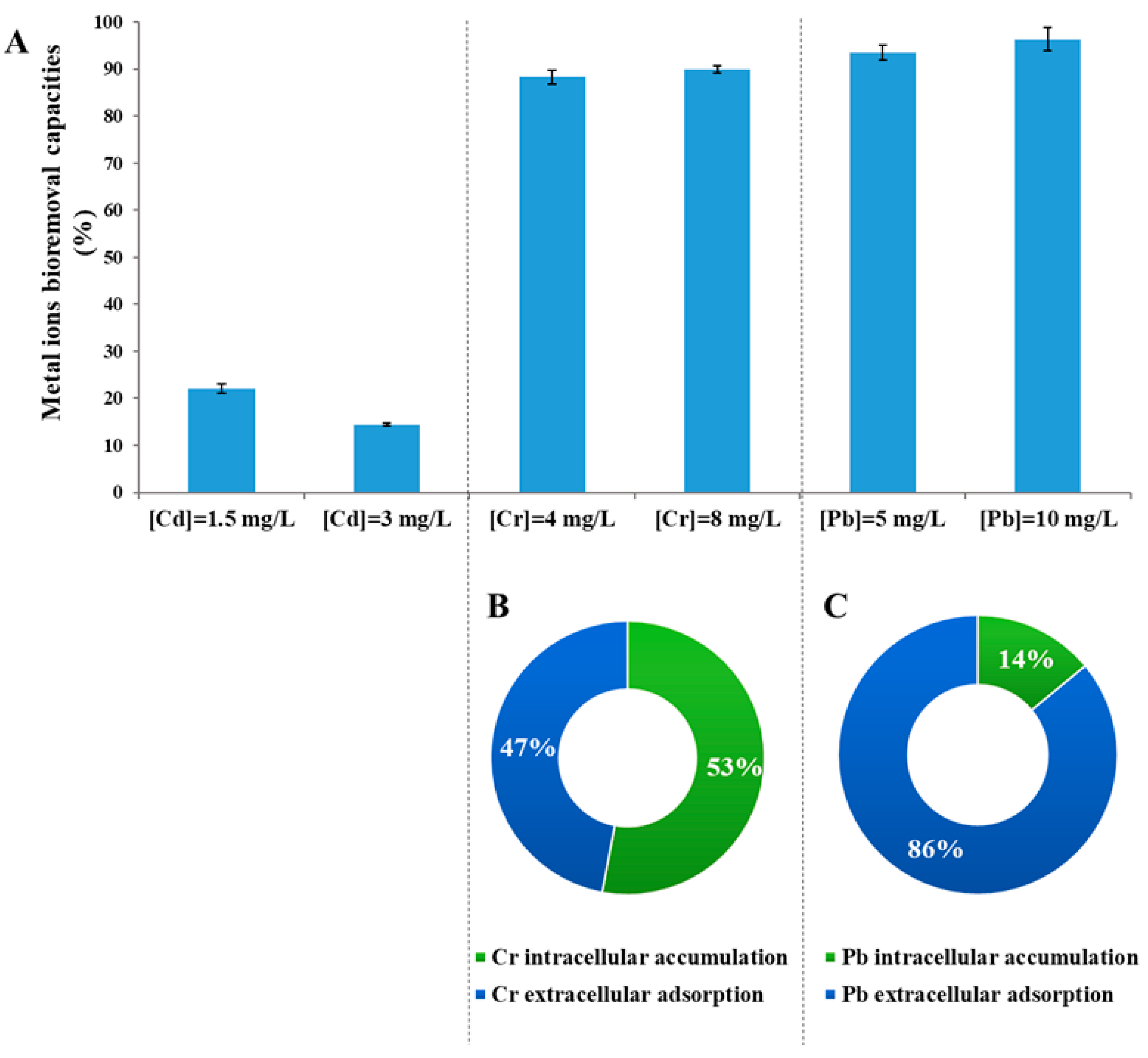 Applsci 14 08551 g004