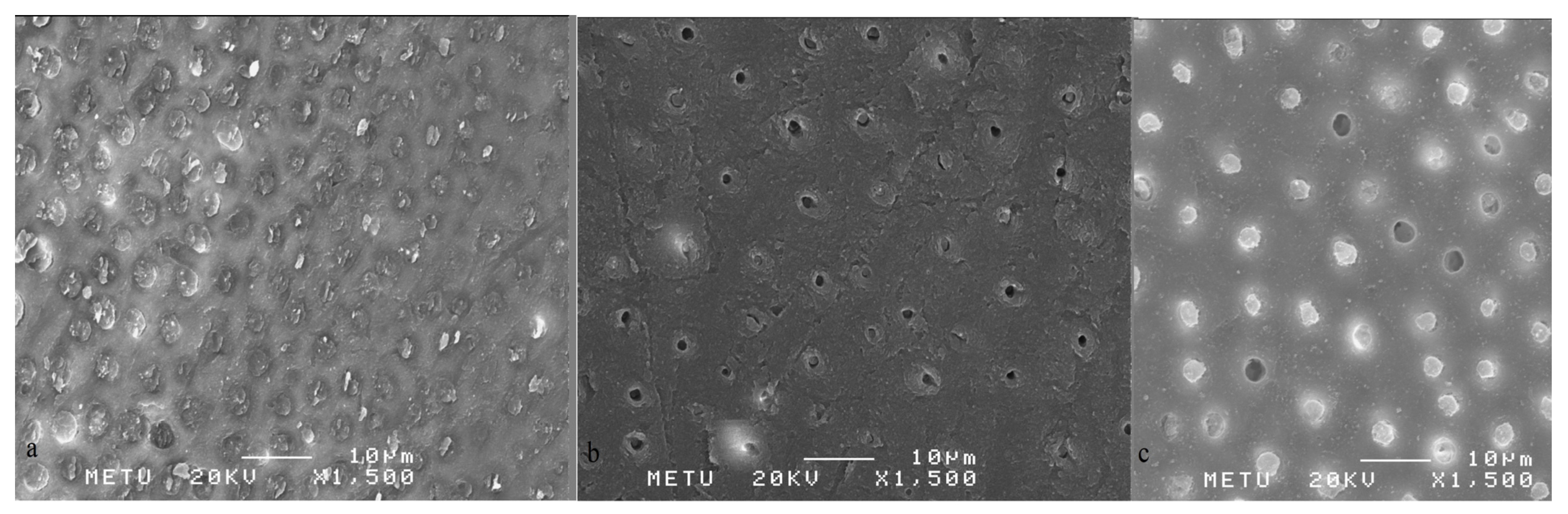 Applsci 14 08568 g003