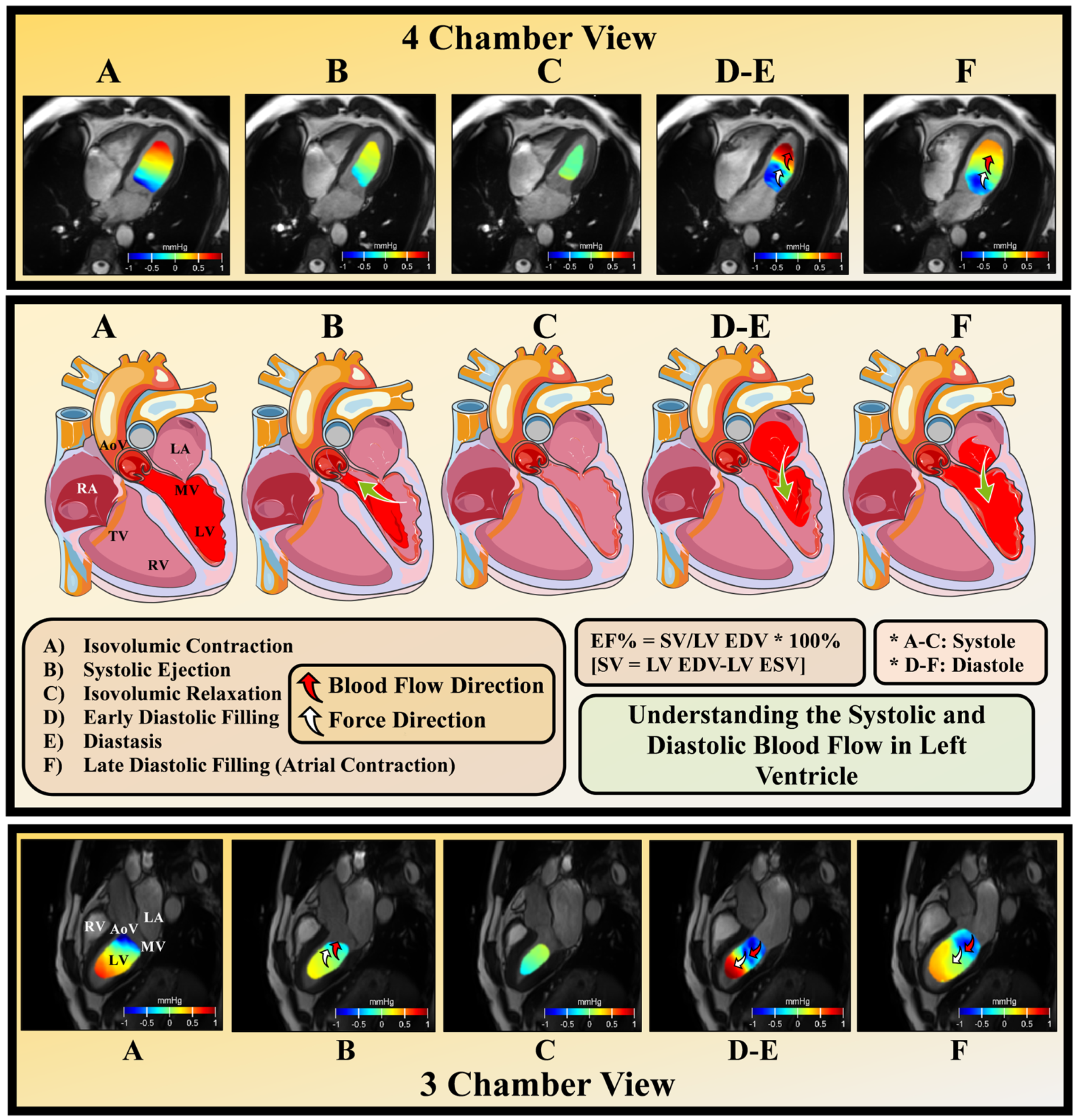 Applsci 14 08577 g006 Applsci 14 08577 g006