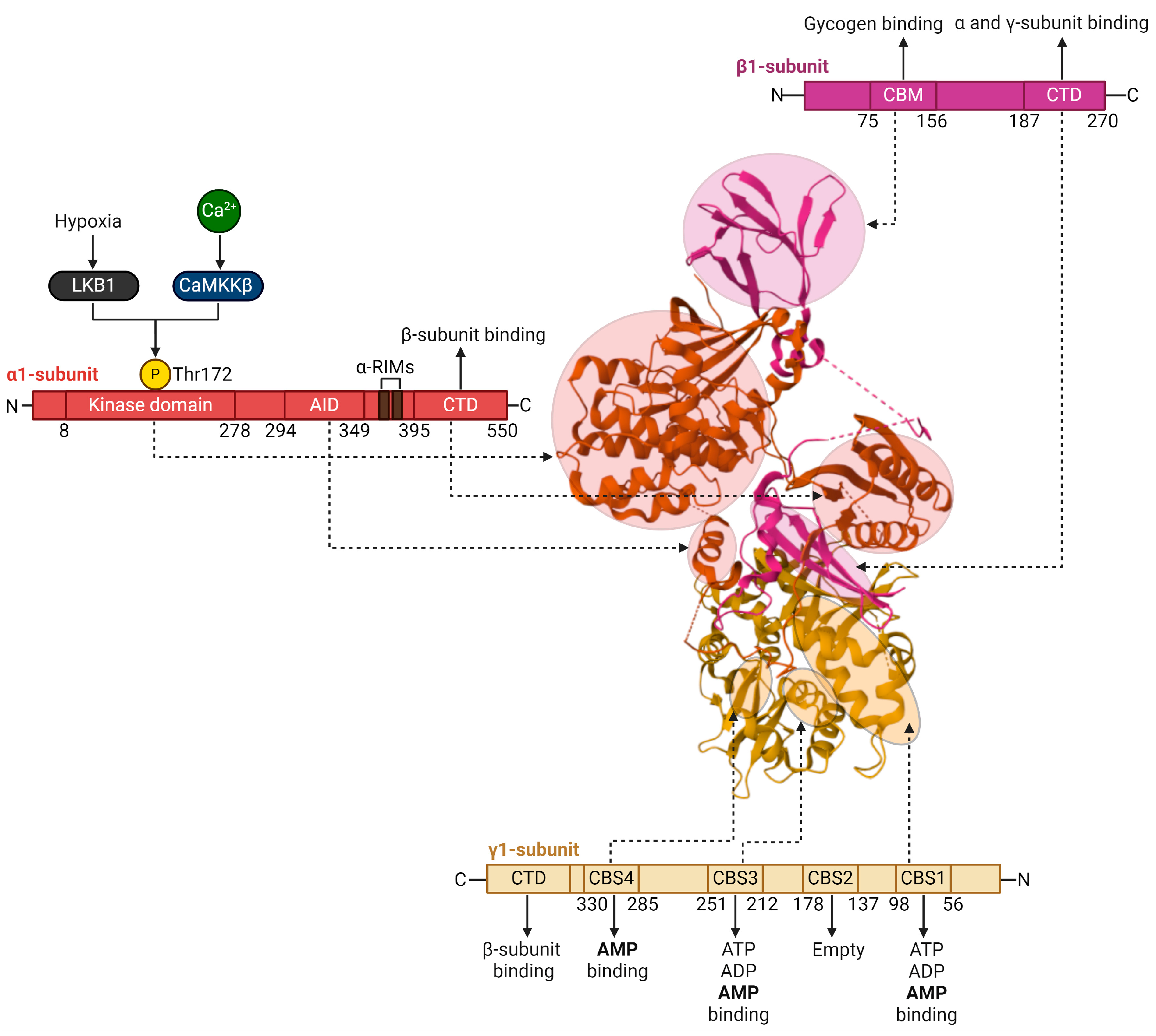 Applsci 14 08607 g001