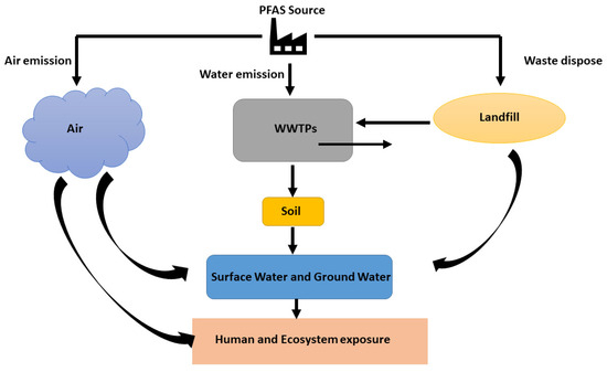 PFAS: The Journey from Wonder Chemicals to Environmental Nightmares and ...