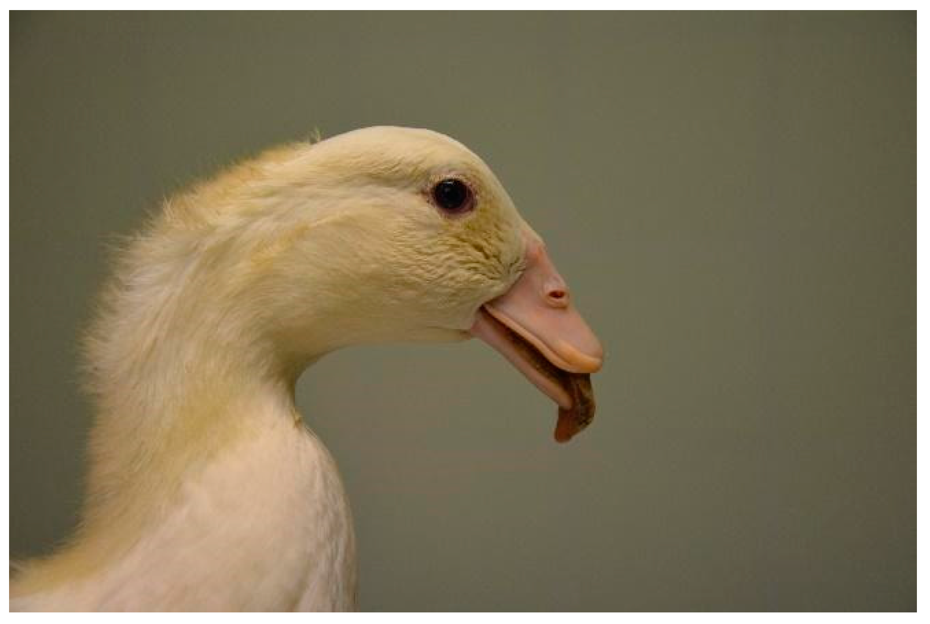 Applsci 14 08637 g001