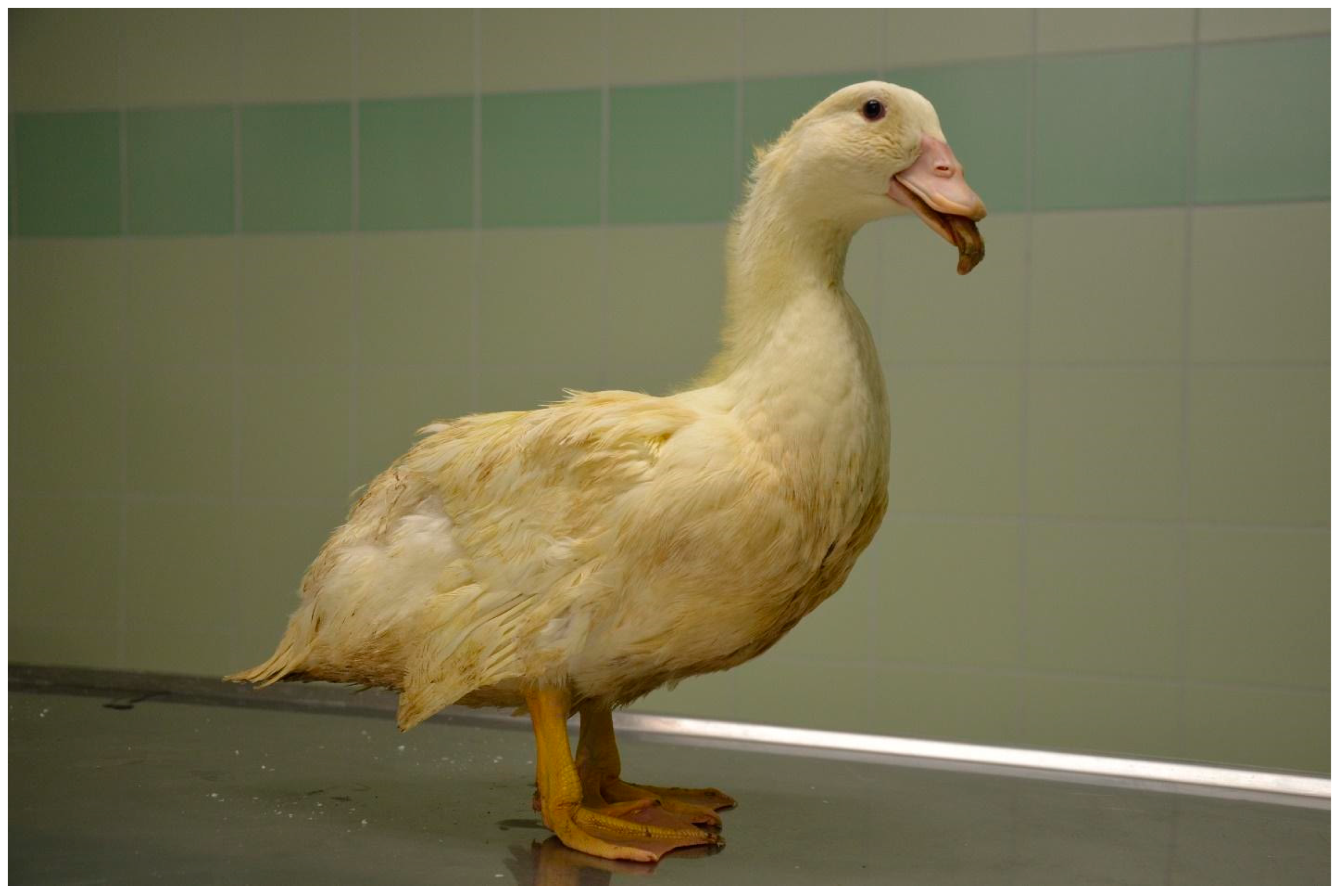 Applsci 14 08637 g003