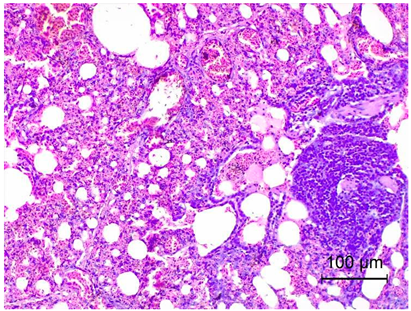 Applsci 14 08637 i001