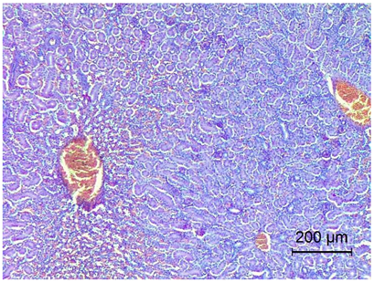 Applsci 14 08637 i004