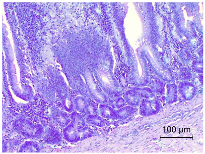 Applsci 14 08637 i006