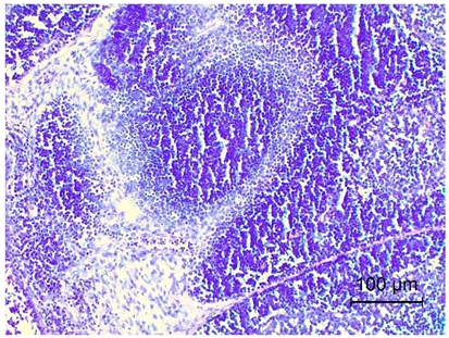 Applsci 14 08637 i007