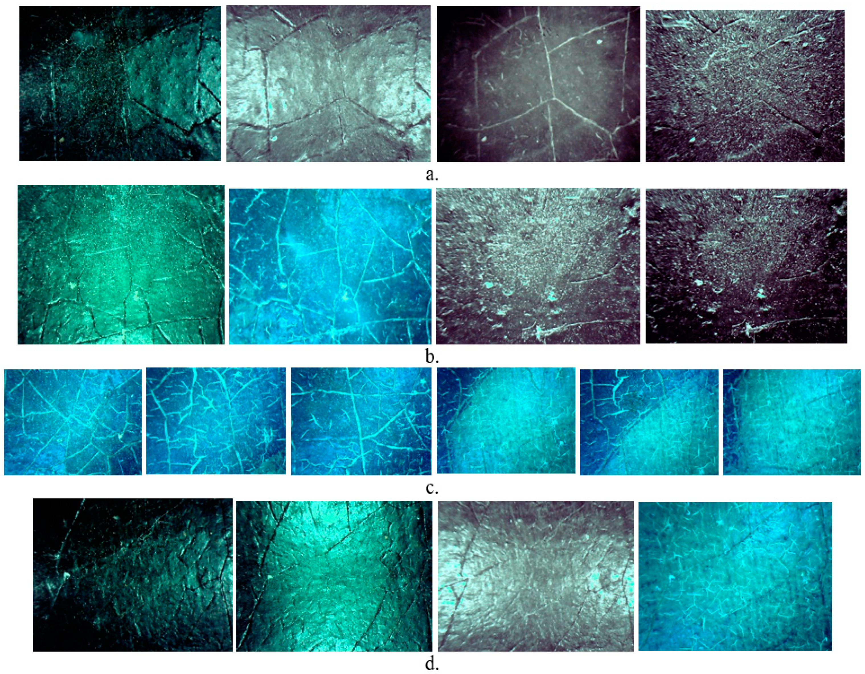 Applsci 14 08655 g012