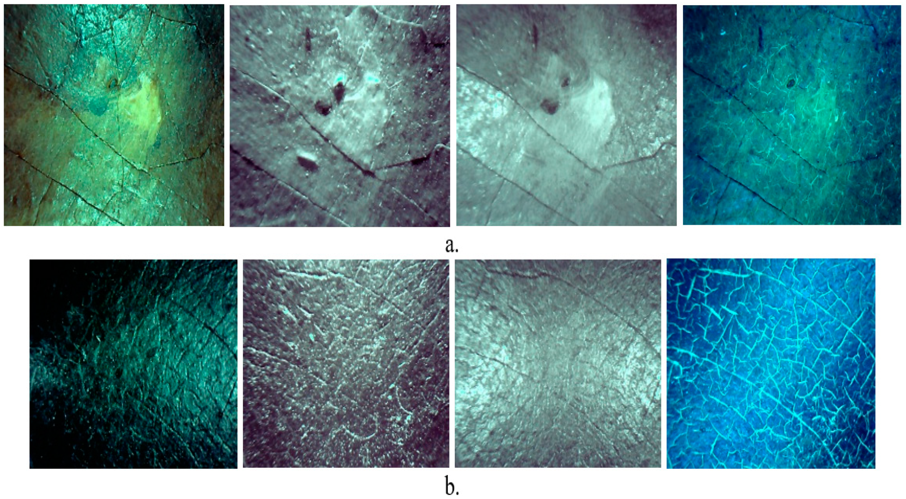 Applsci 14 08655 g013