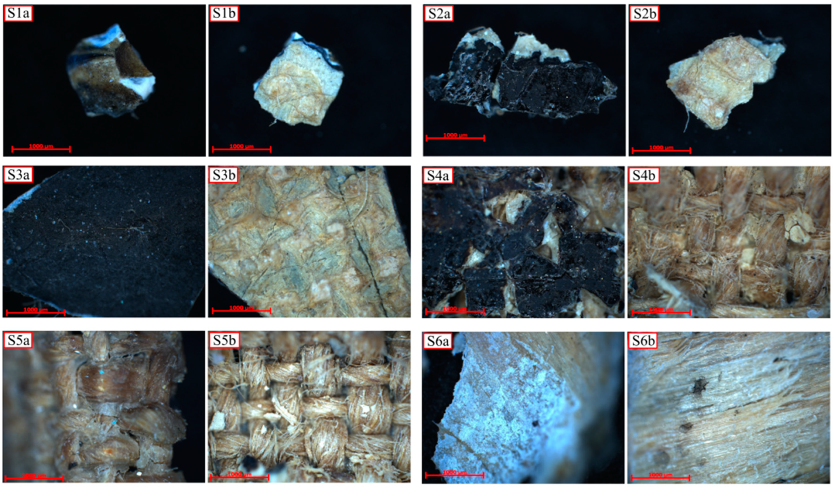 Applsci 14 08655 g017