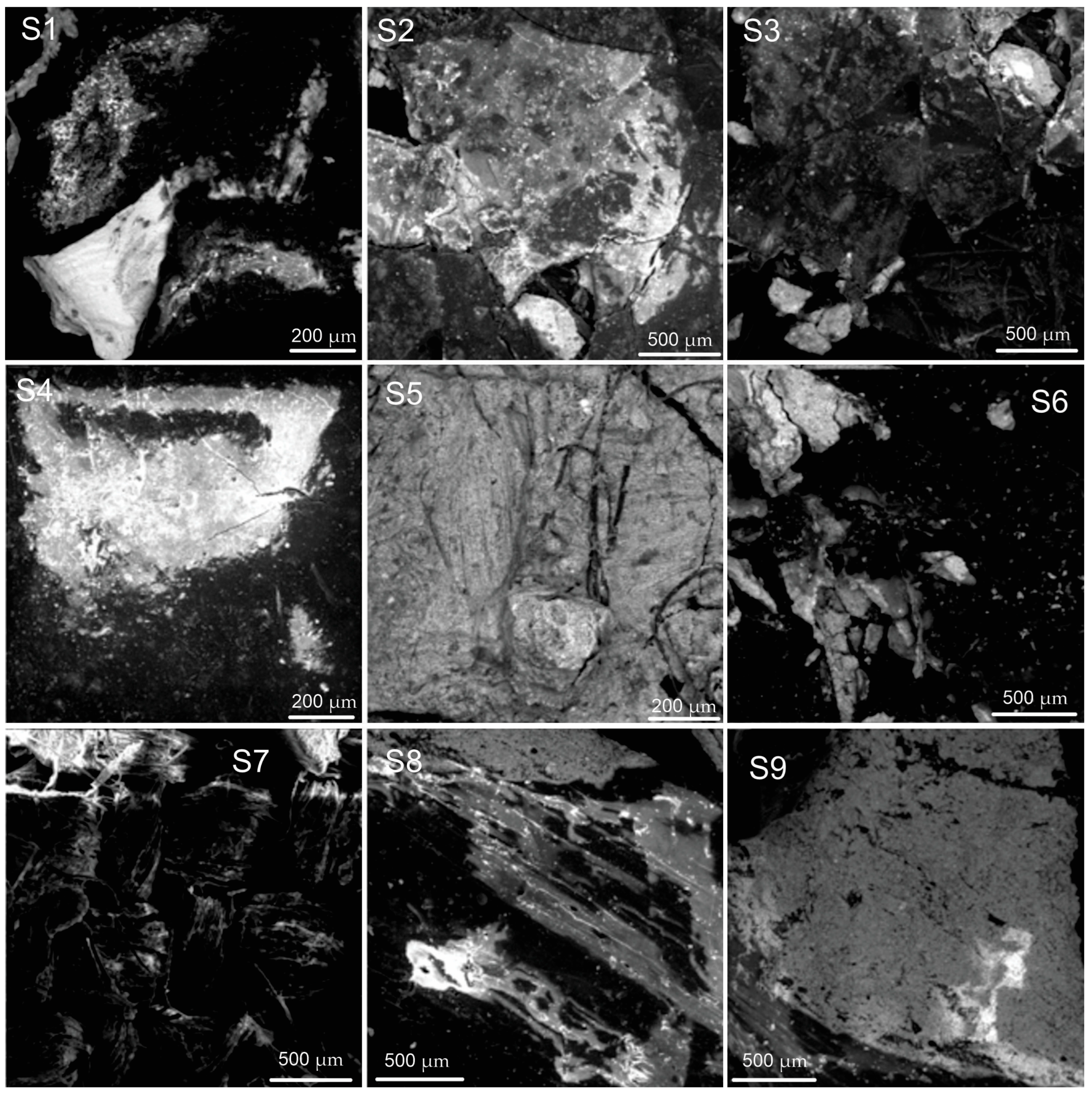 Applsci 14 08655 g018