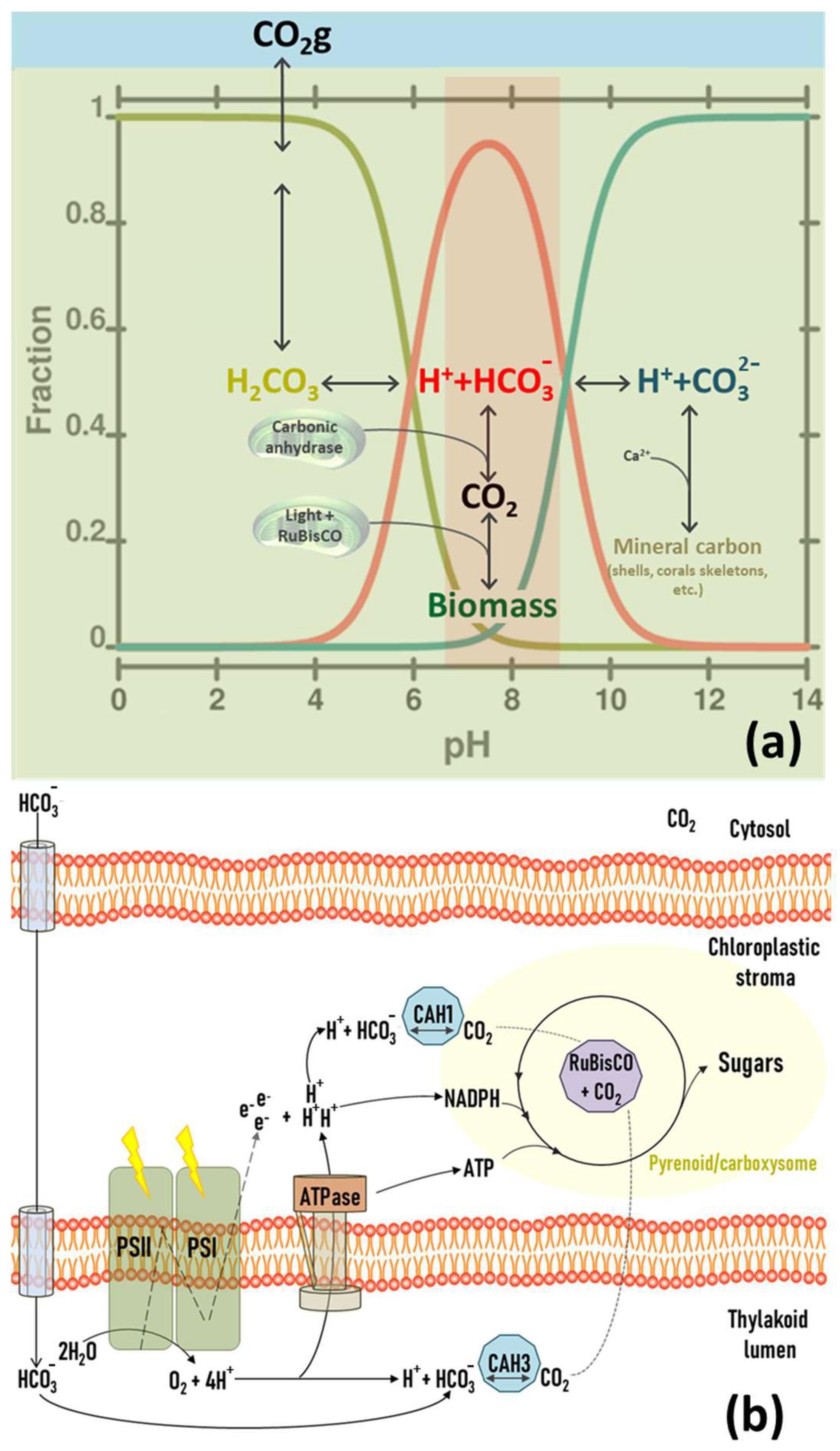 Applsci 14 08657 g006 Applsci 14 08657 g006
