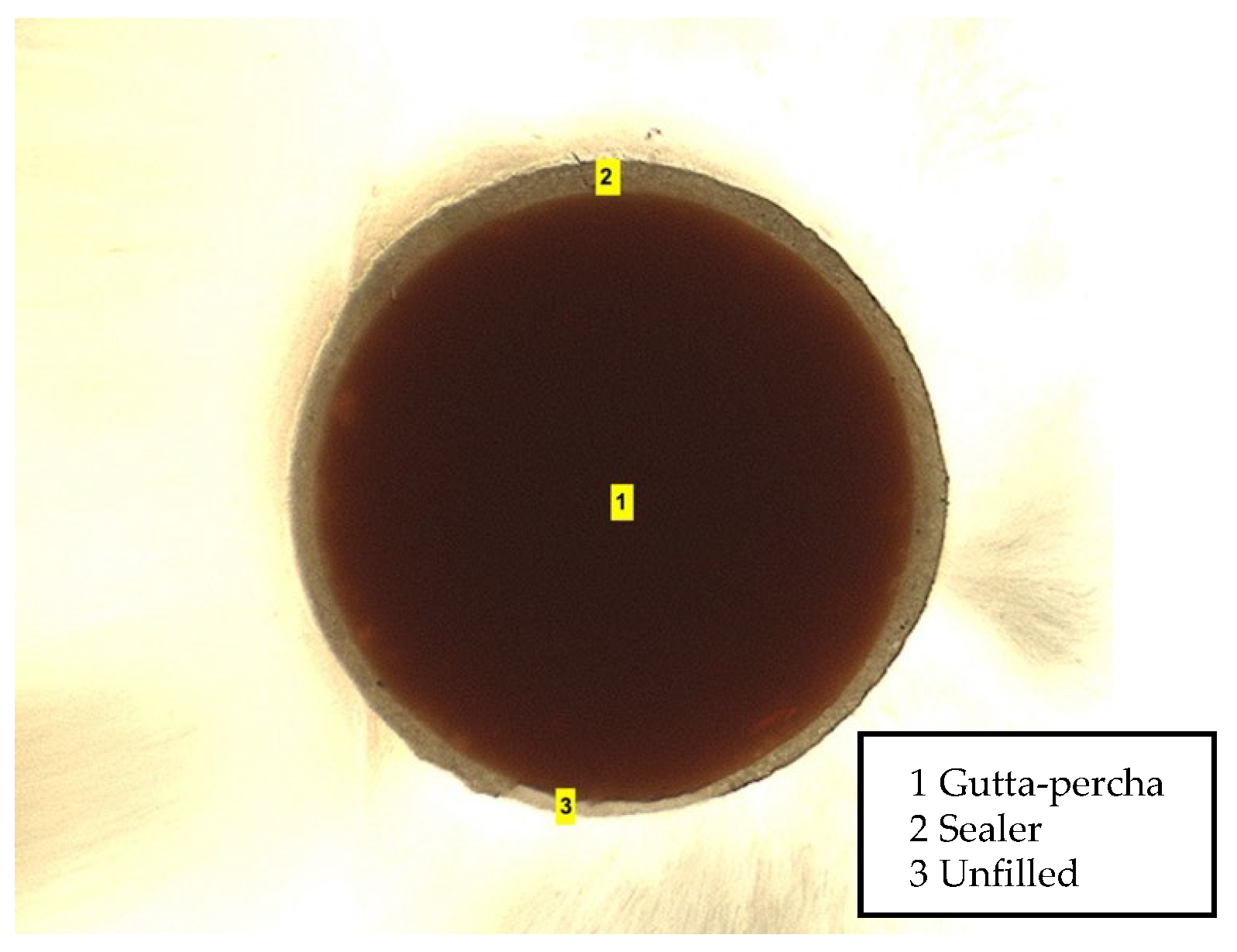 Applsci 14 08661 g001 Applsci 14 08661 g001