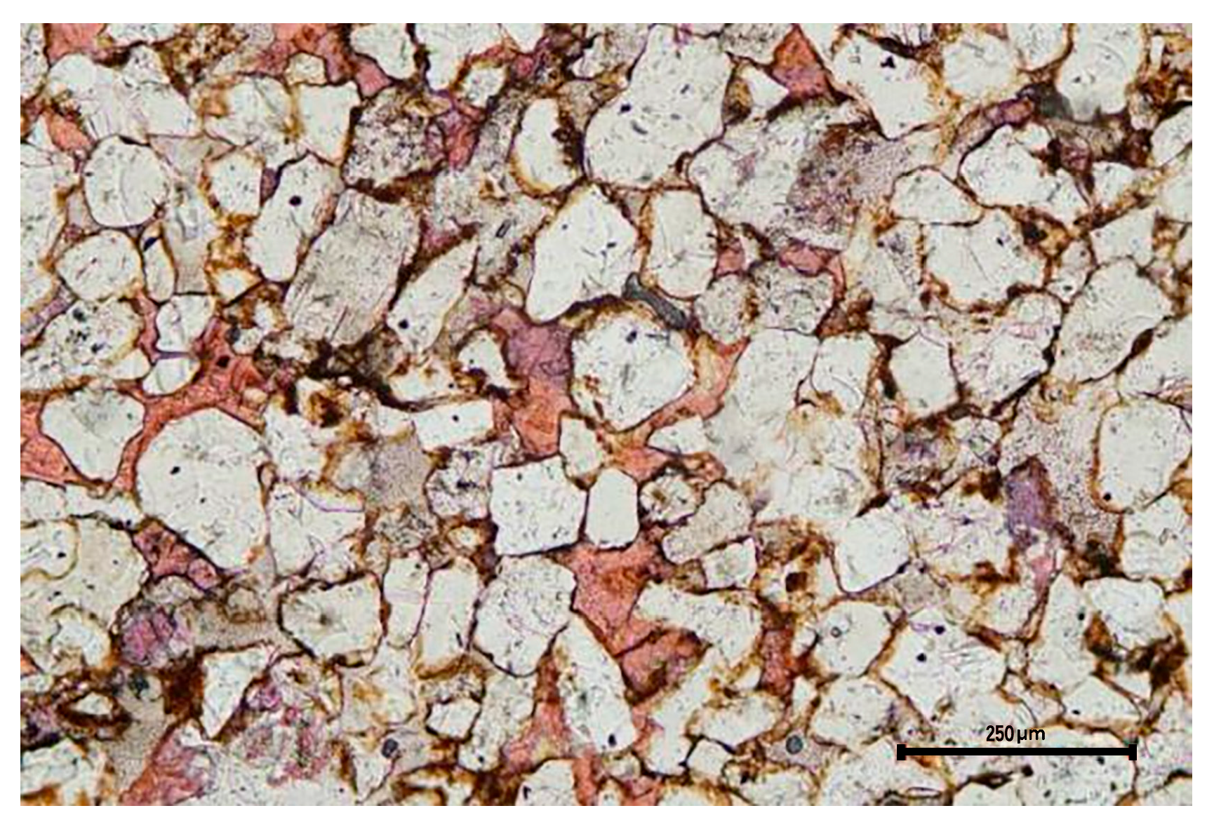 Applsci 14 08693 g001