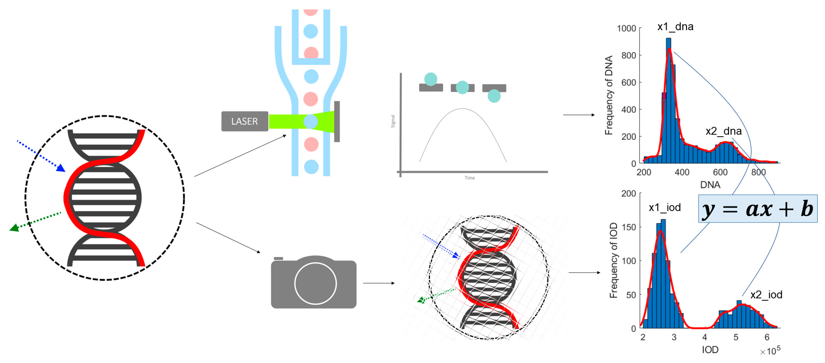 Applsci 14 08707 g001