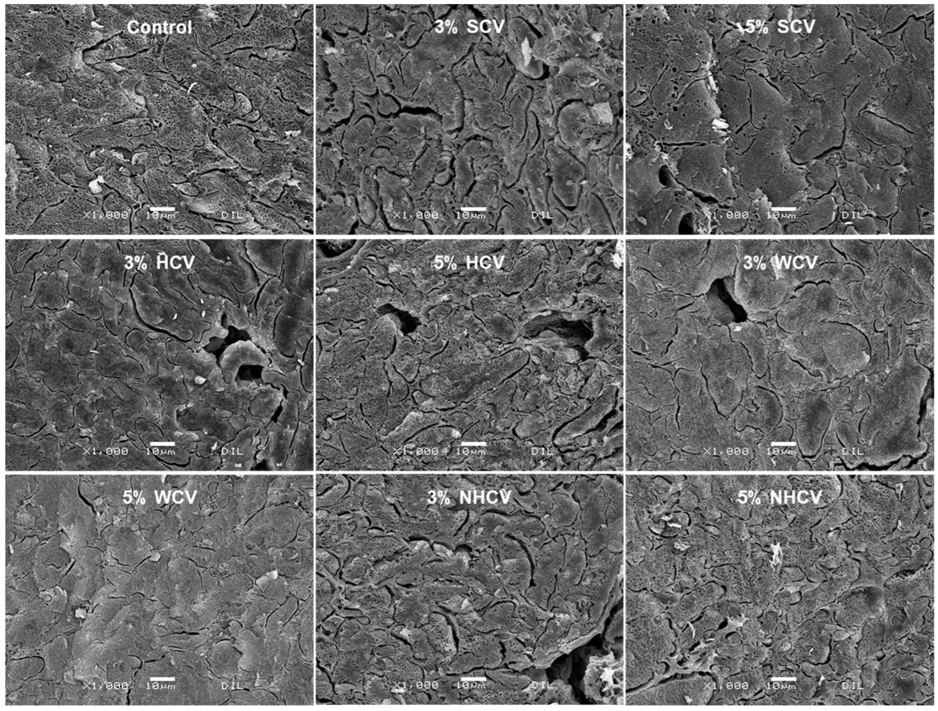 Applsci 14 08760 g002