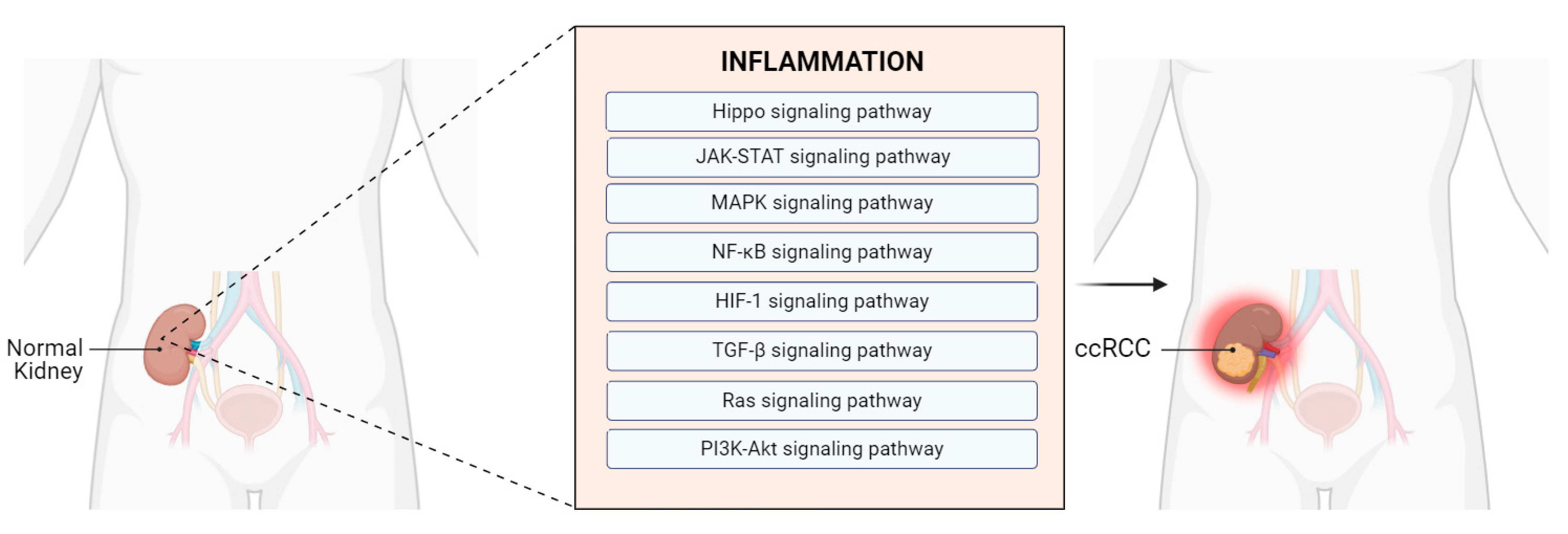 Applsci 14 08768 g009