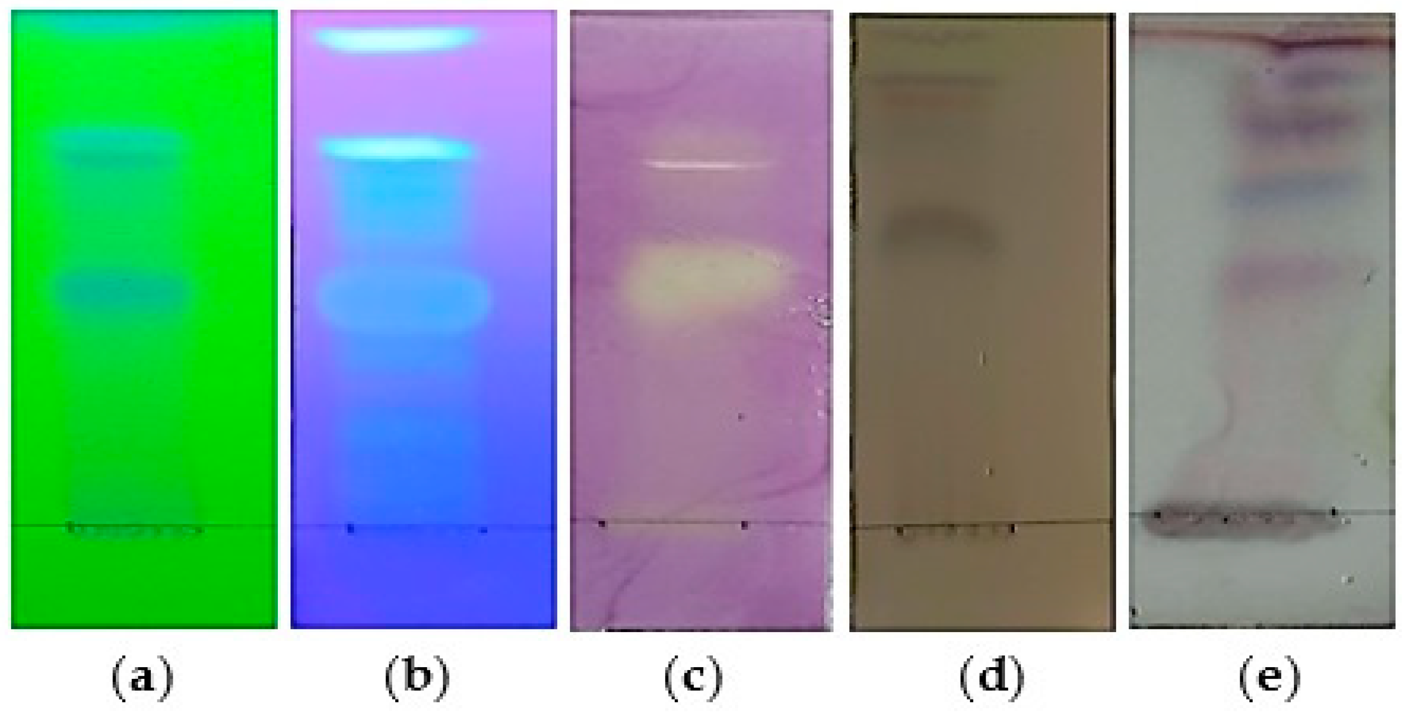 Applsci 14 08784 g006