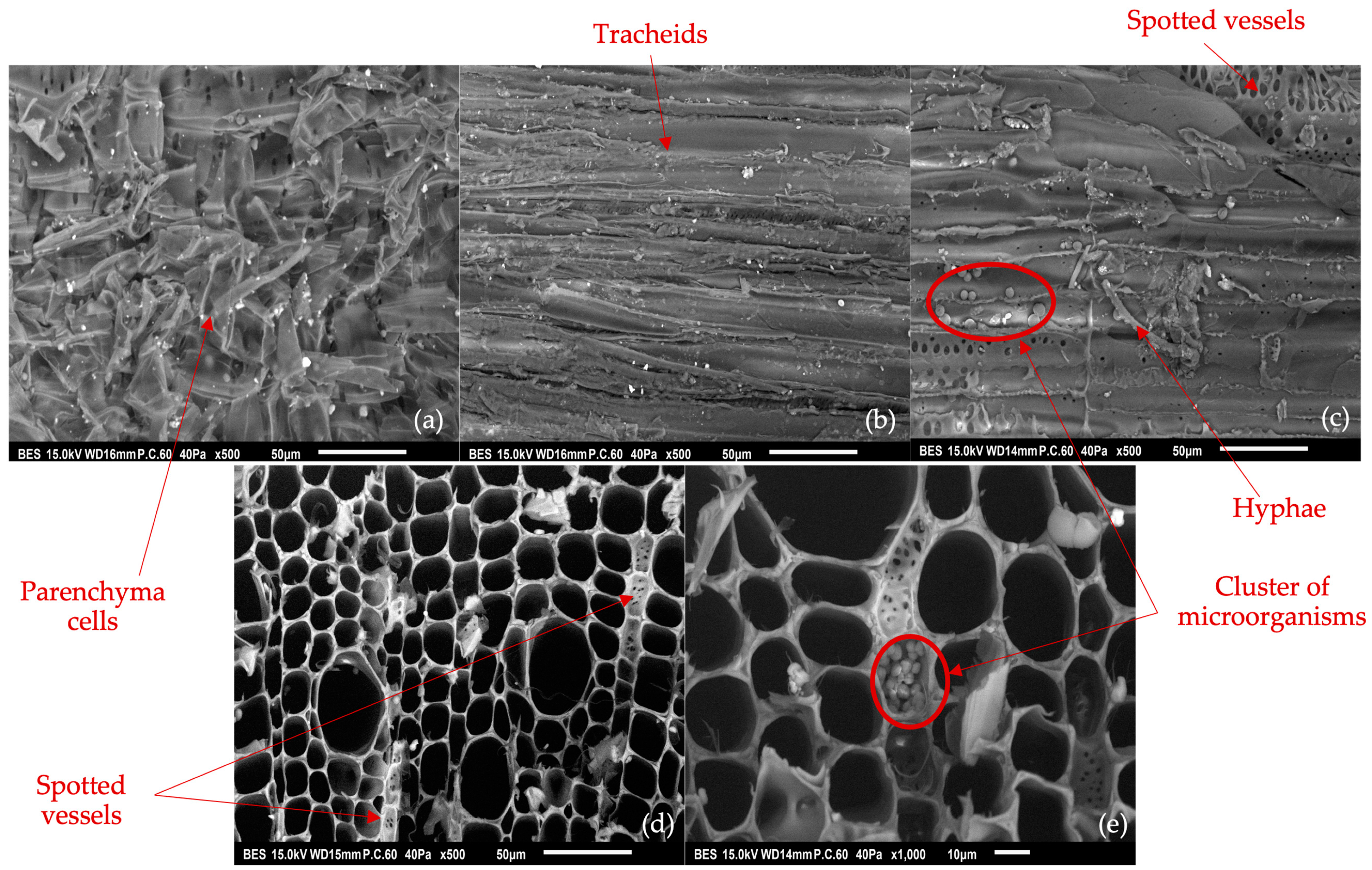 Applsci 14 08815 g003